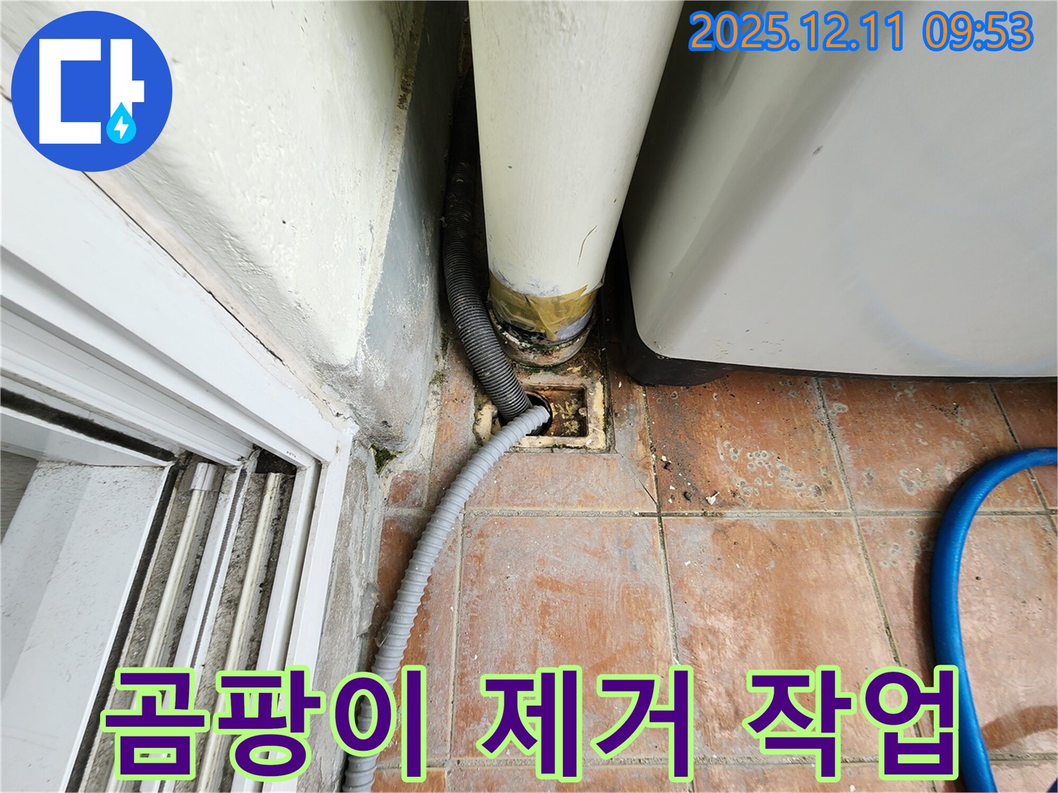 세탁기 배수구 주변 곰팡이 제거 - 쾌적한 환경 조성