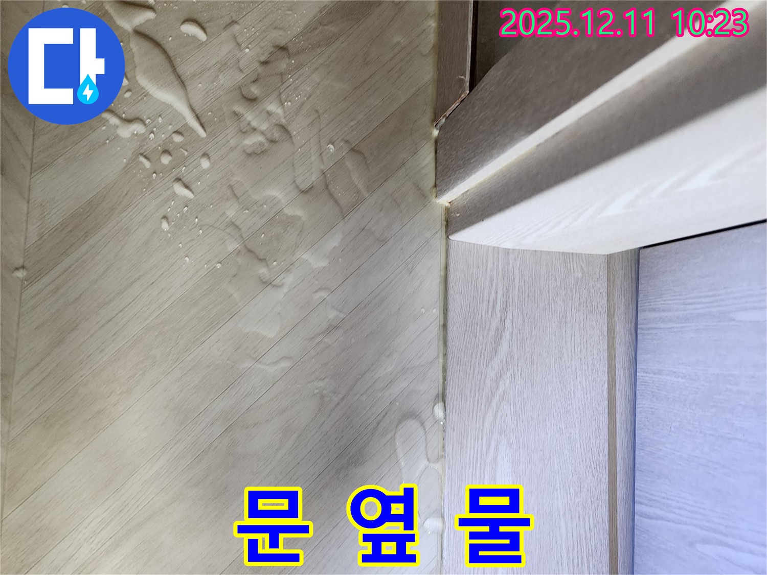 영중면 누수 - 문 옆 물, 누수 전문가에게