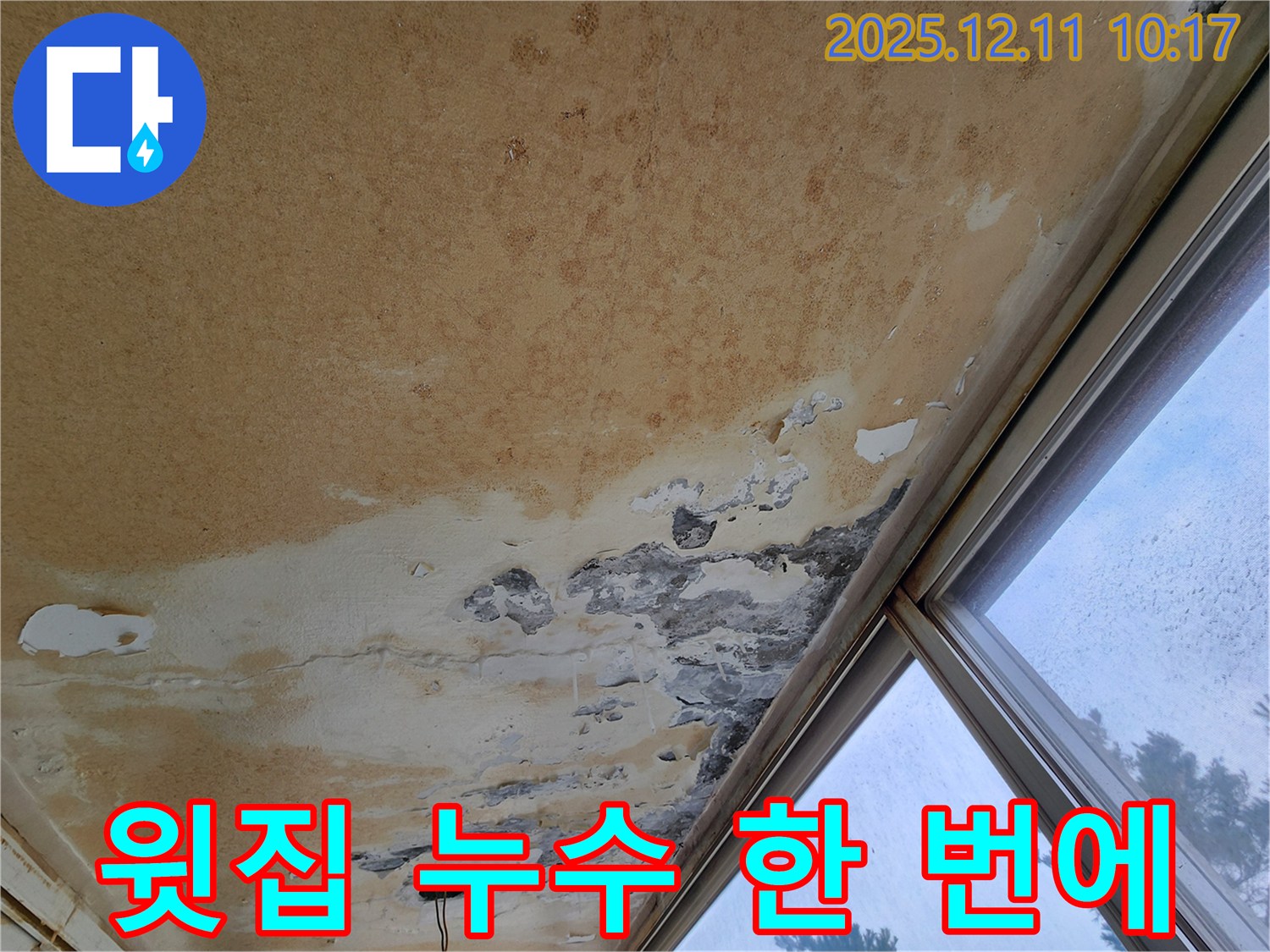 윗집 누수 - 한 번에 해결 책임