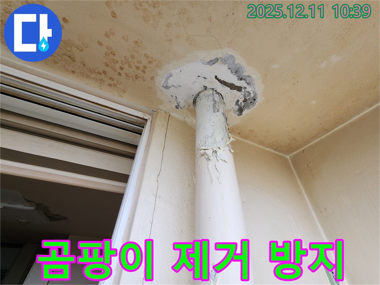 천장 누수 - 곰팡이 제거 - 재발 방지