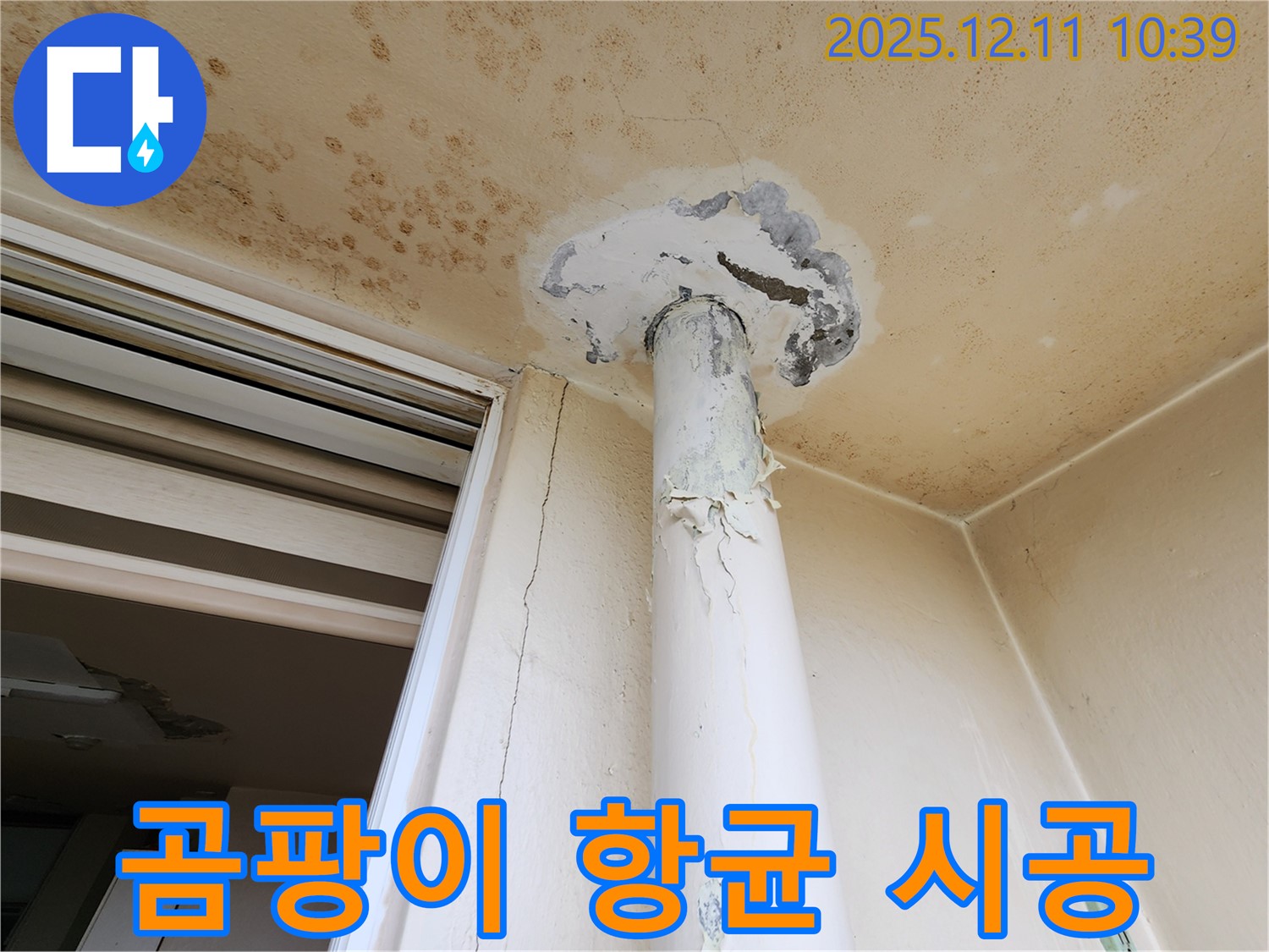 천장 누수 - 곰팡이 제거 - 항균 시공