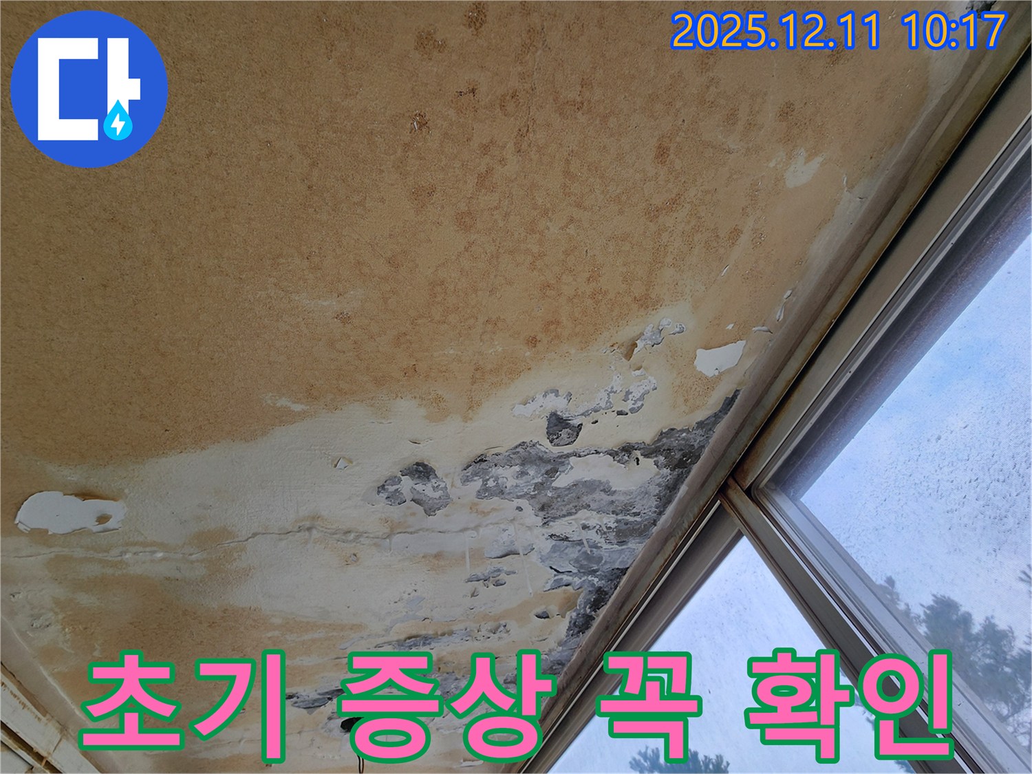 천장 누수 초기 - 꼼꼼하게 확인