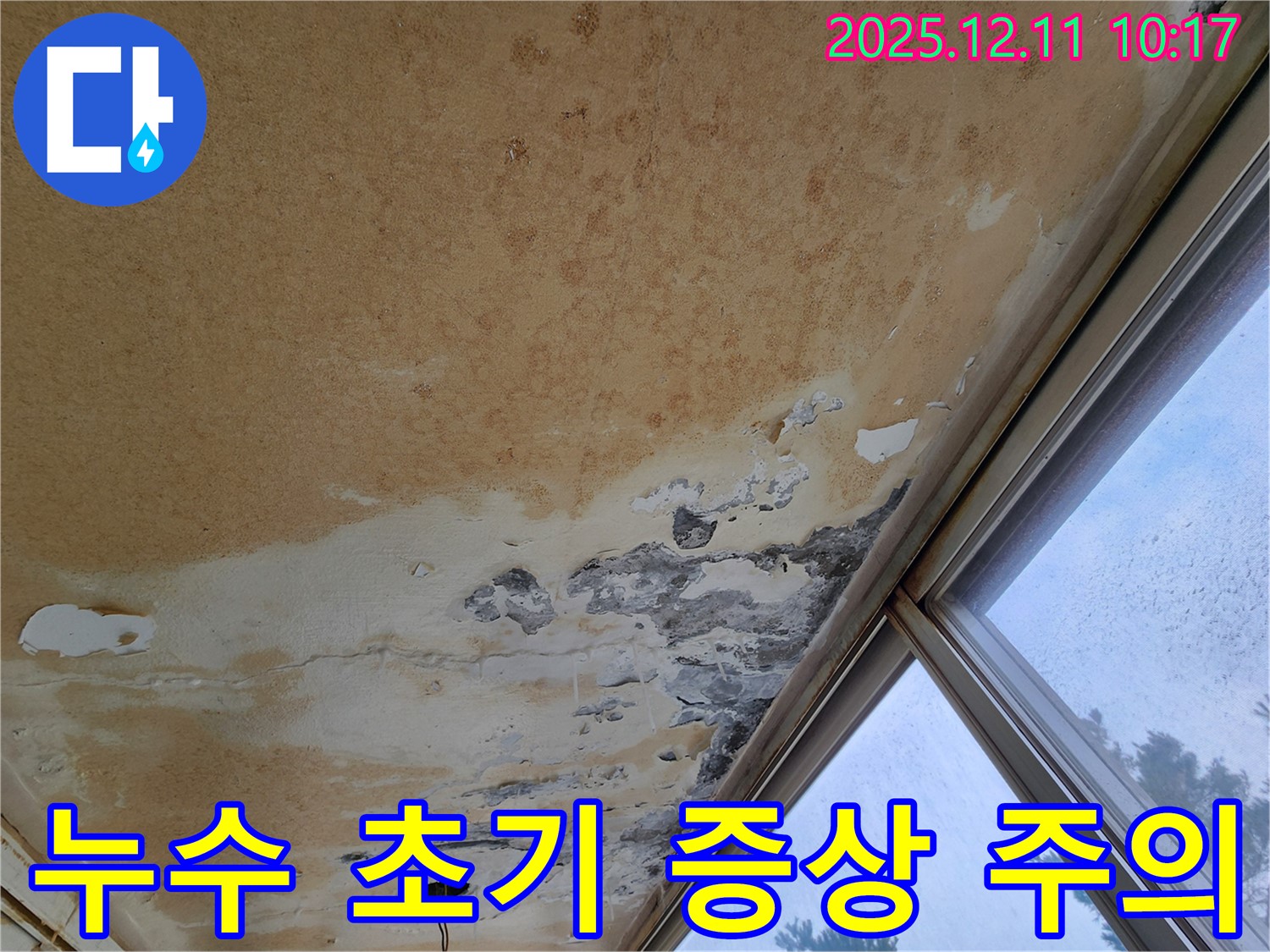 천장 누수 초기 증상 - 작은 물방울 주의