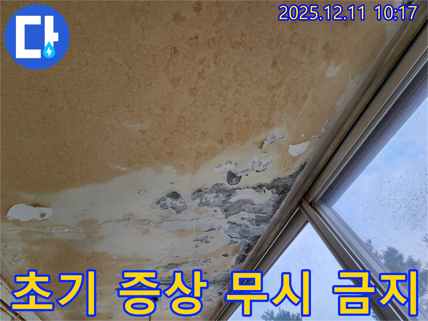 천장 누수 초기 증상 - 작은 얼룩 주의