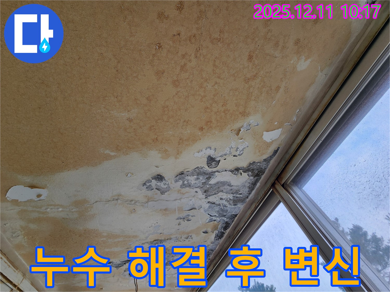천장 누수 해결 후 - 쾌적한 공간으로 변신