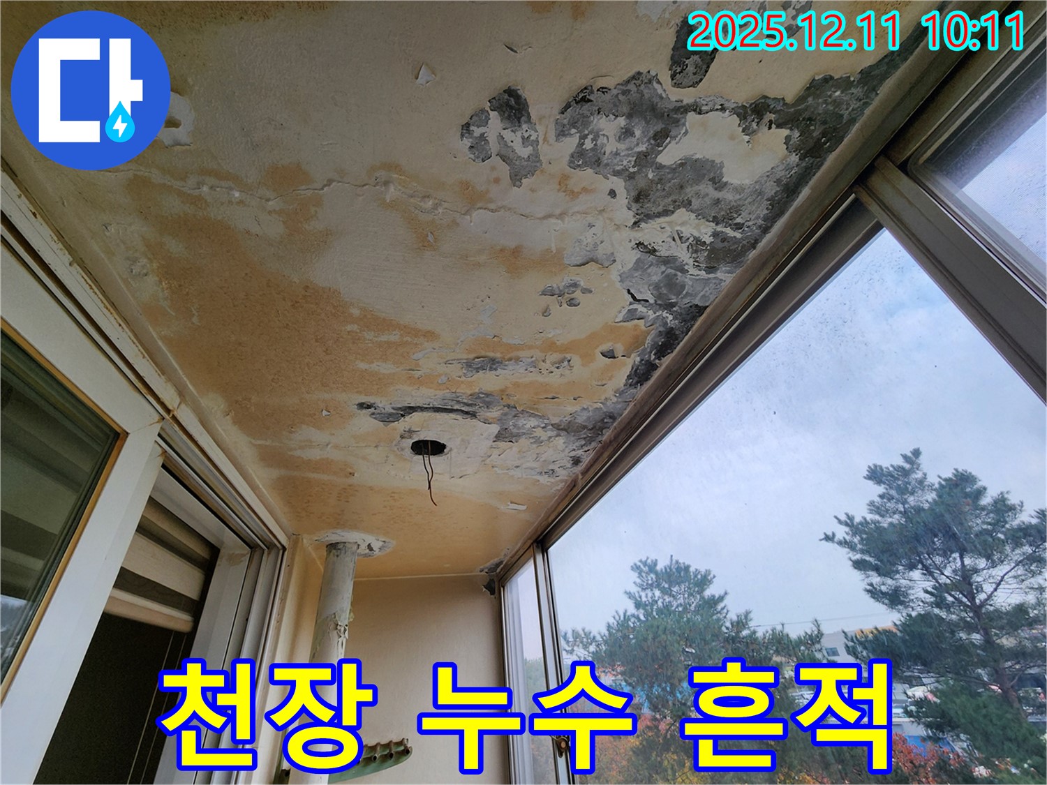 천장 누수 흔적 - 심각한 오염과 손상