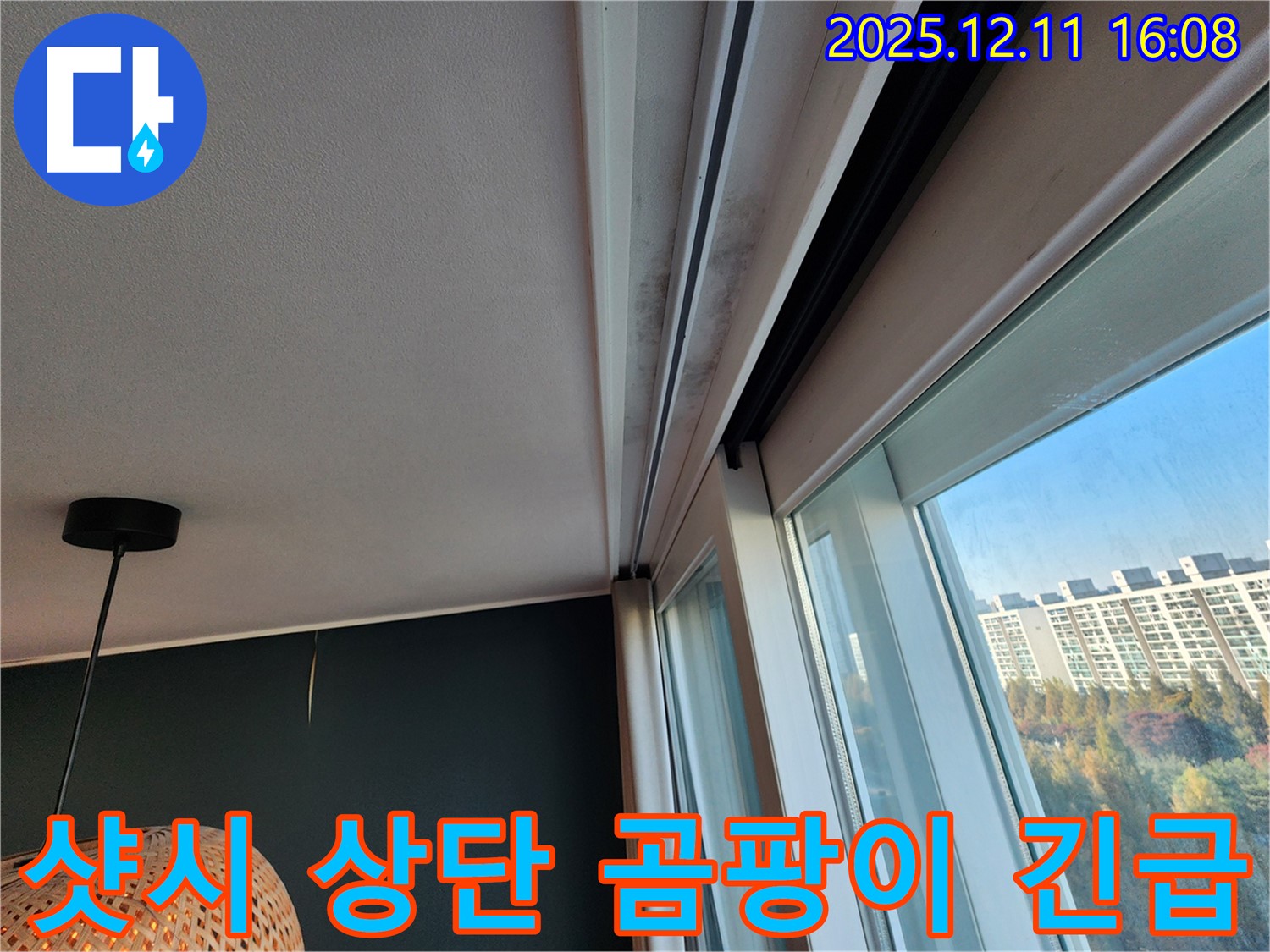 샷시 상단 곰팡이 - 긴급 해결 - 영중면