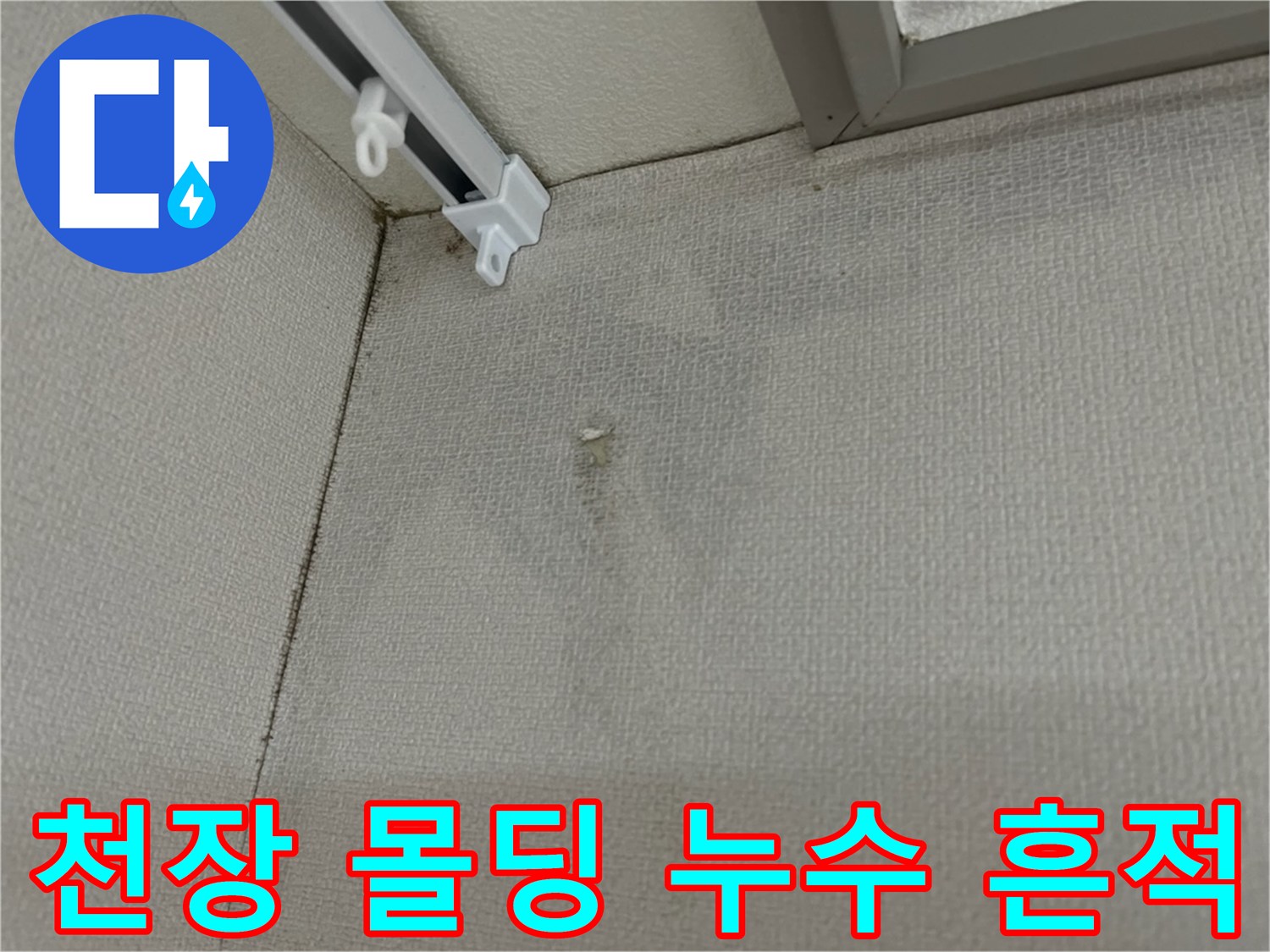 천장 몰딩 부근 - 물자국과 함께 발생한 곰팡이