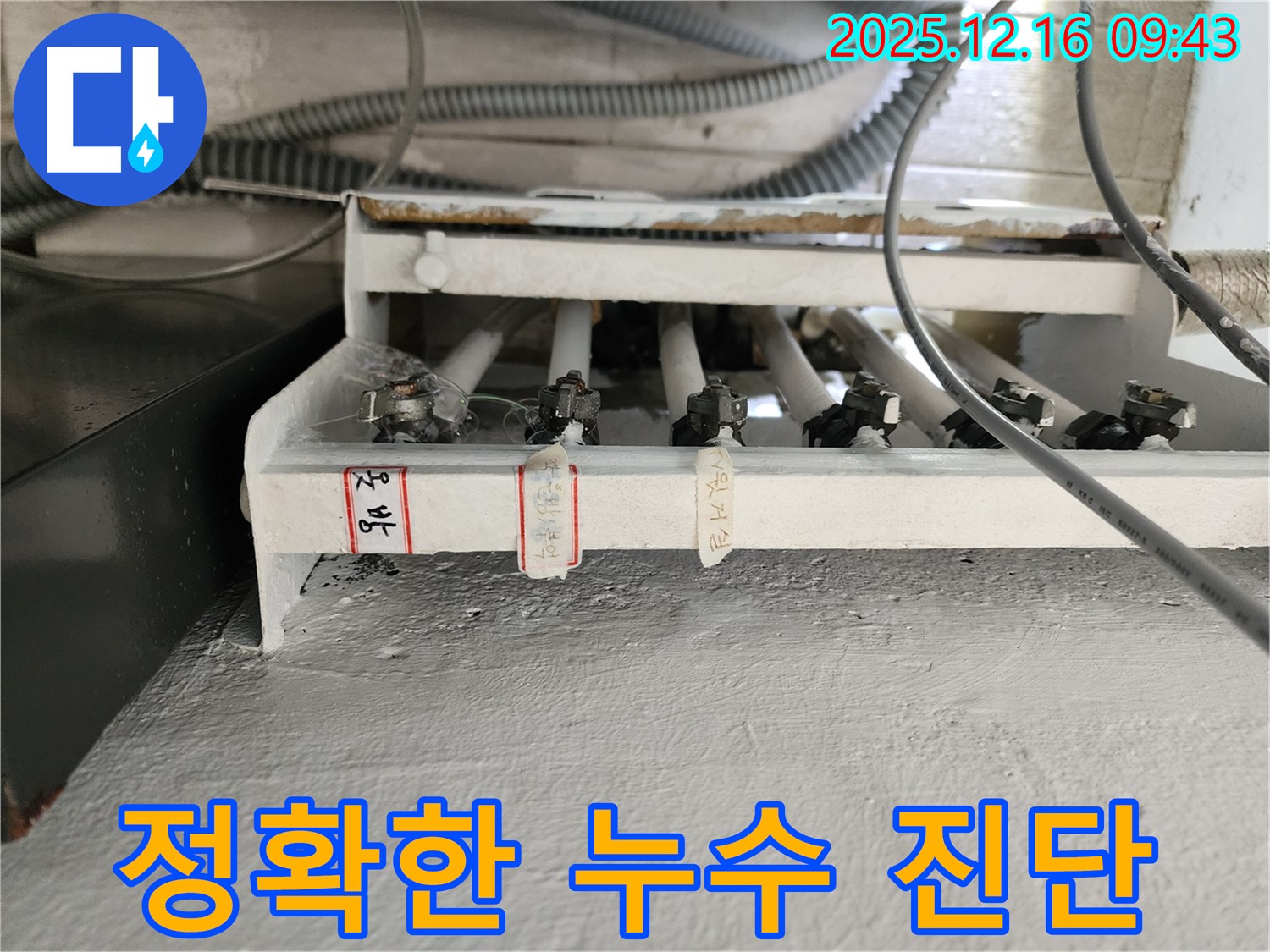 분배기 누수 정확한 진단 과정