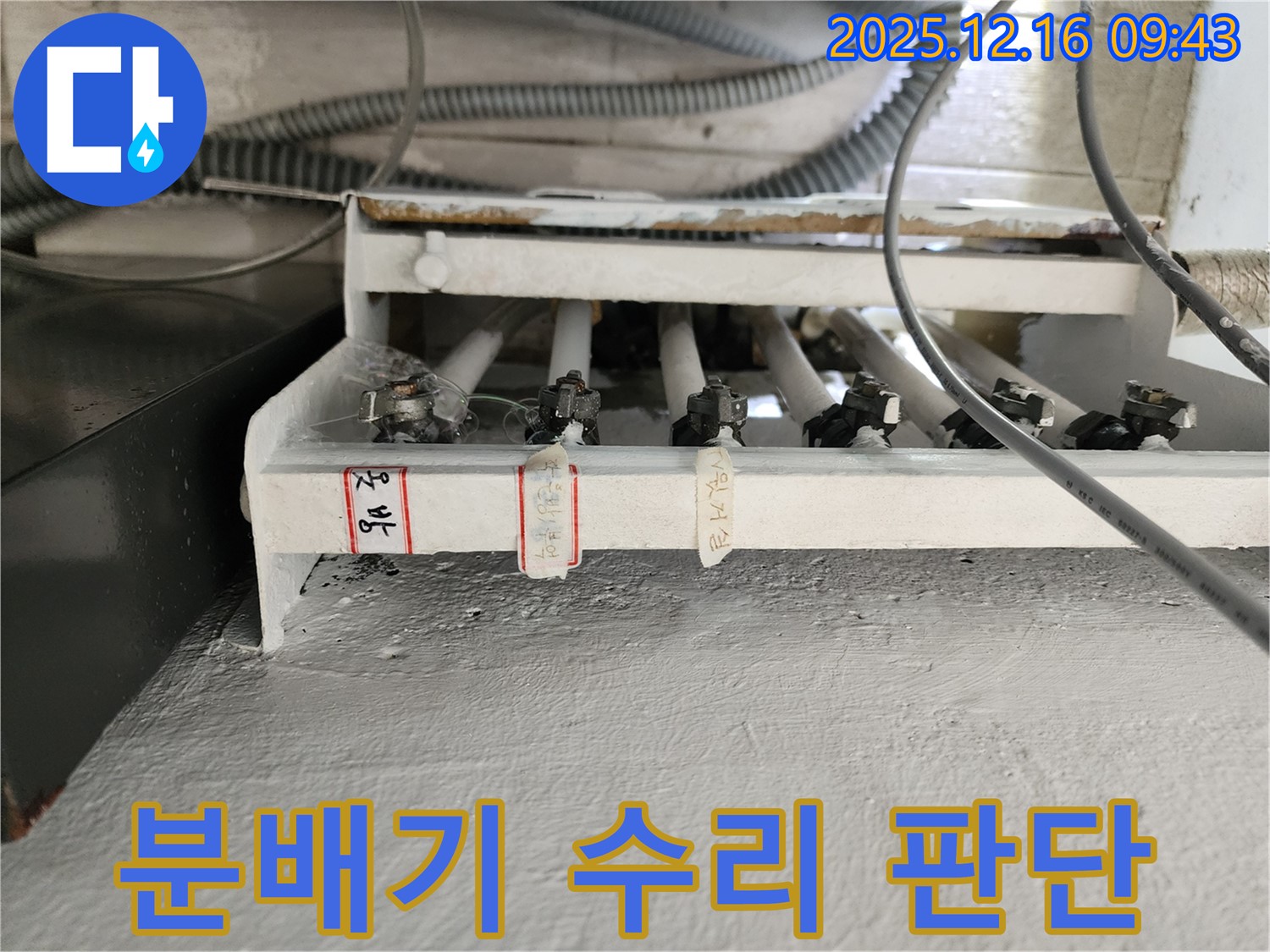 분배기 수리 또는 교체 판단