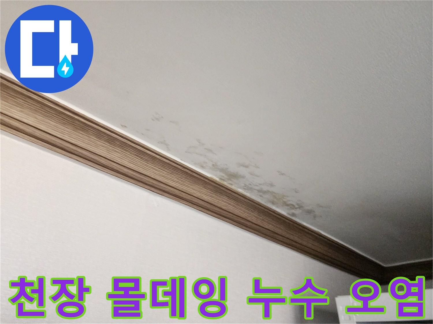 천장-몰딩-경계의-축축한-벽지-상태