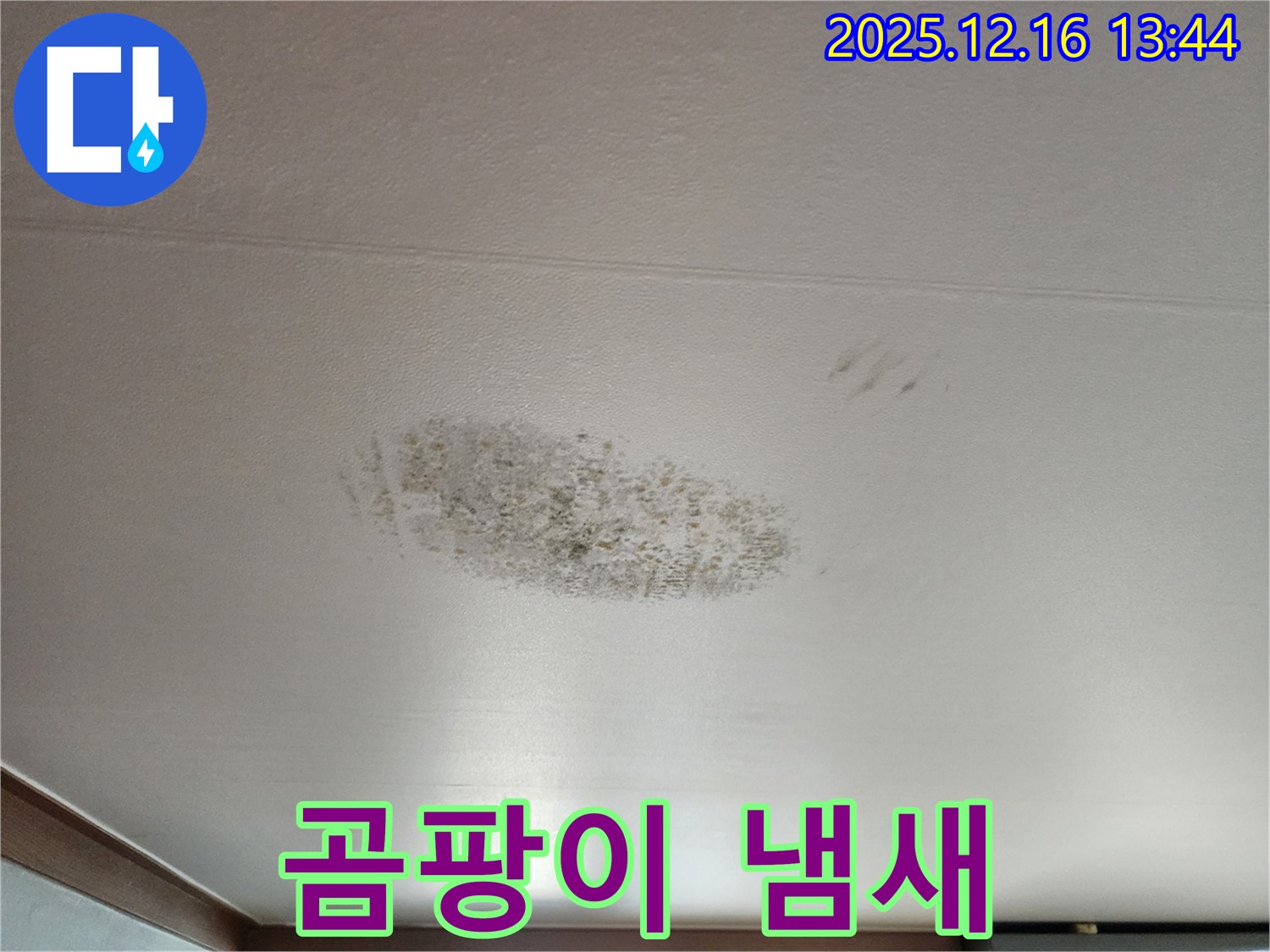 소홀리 천장 누수 - 곰팡이 냄새 진동