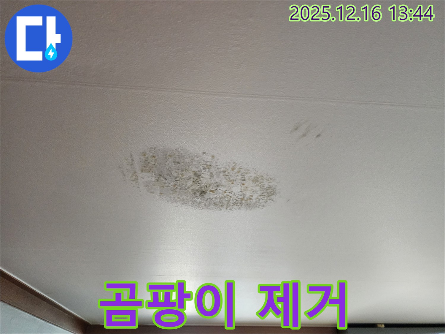 소홀리 천장 누수 - 곰팡이 뿌리 뽑기