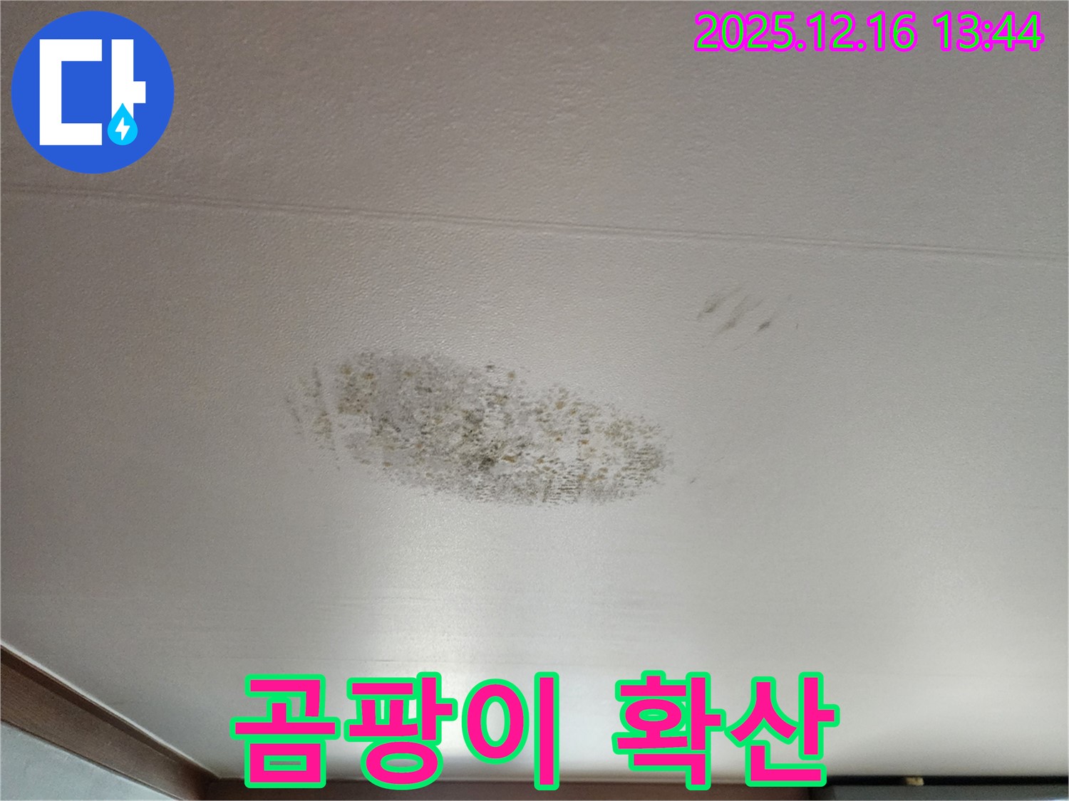 소홀리 천장 누수 - 곰팡이 포자 확산 우려
