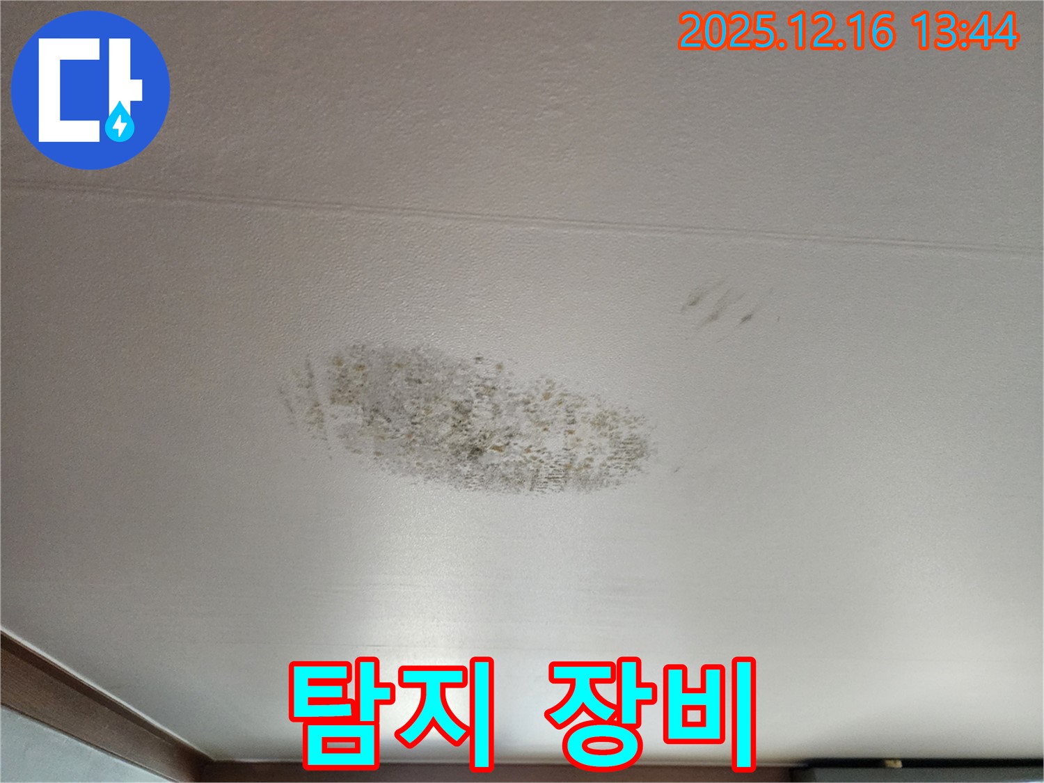 소홀리 천장 누수 - 누수 탐지 전문 장비