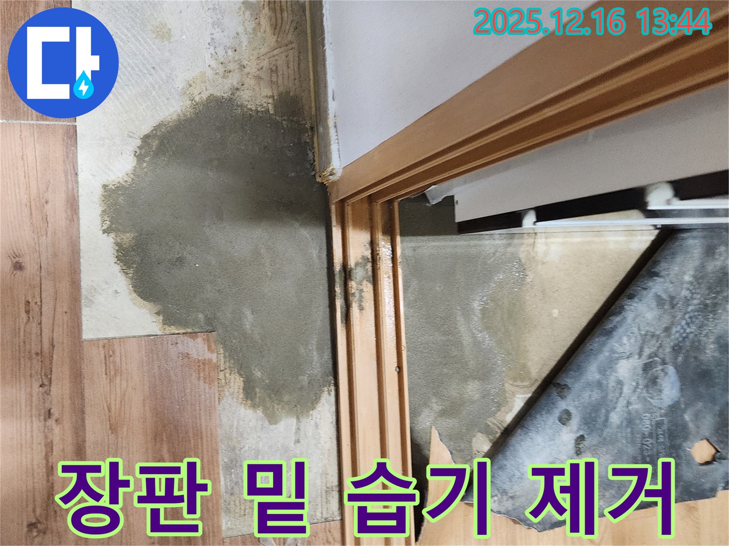 영북면 소홀리 장판 아래 습기 - 쾌적한 환경을 위해