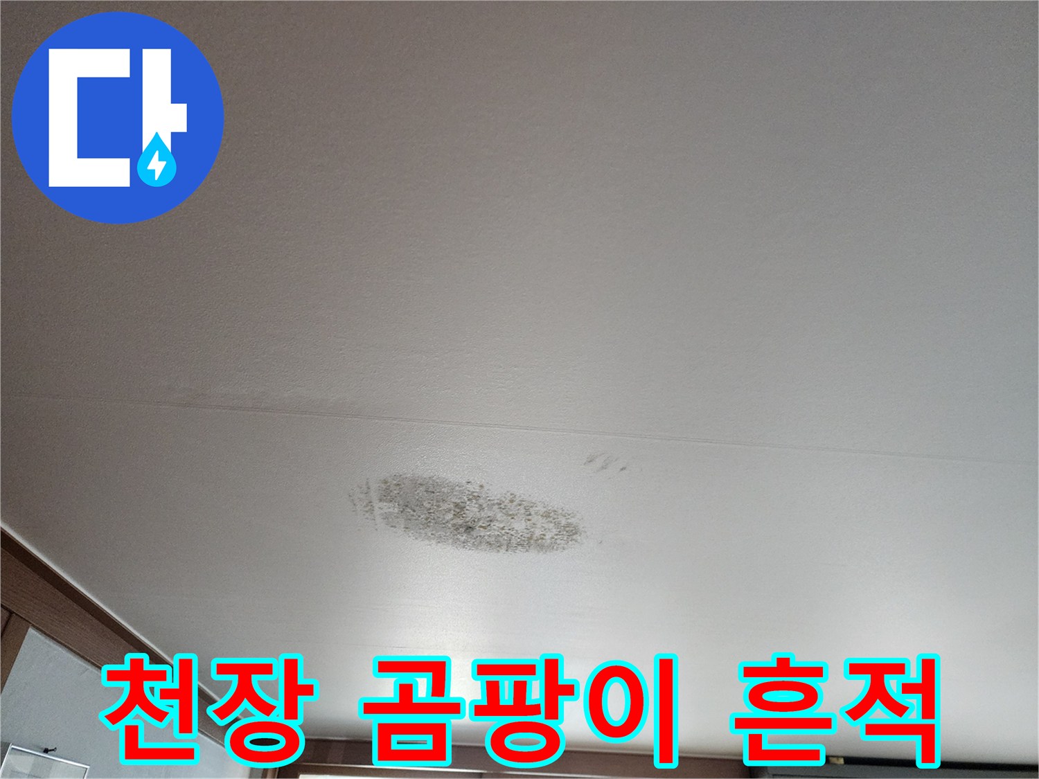 하얀 천장 벽지에 발생한 거뭇한 곰팡이 얼룩