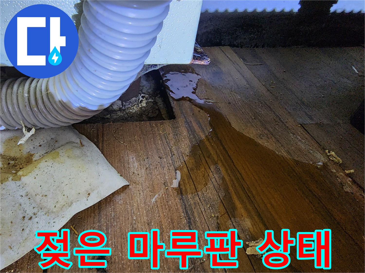 물기에-젖어-변색된-나무-마루