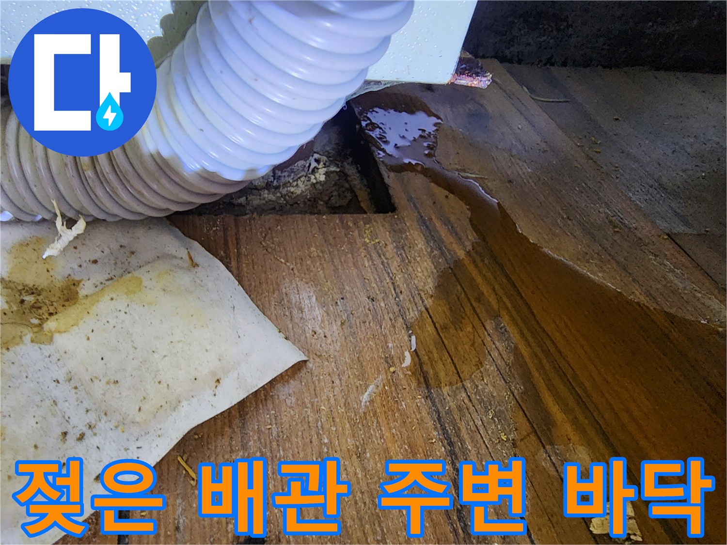 싱크대-배수-호스-밑에-물기가-흥건한-마루-상태