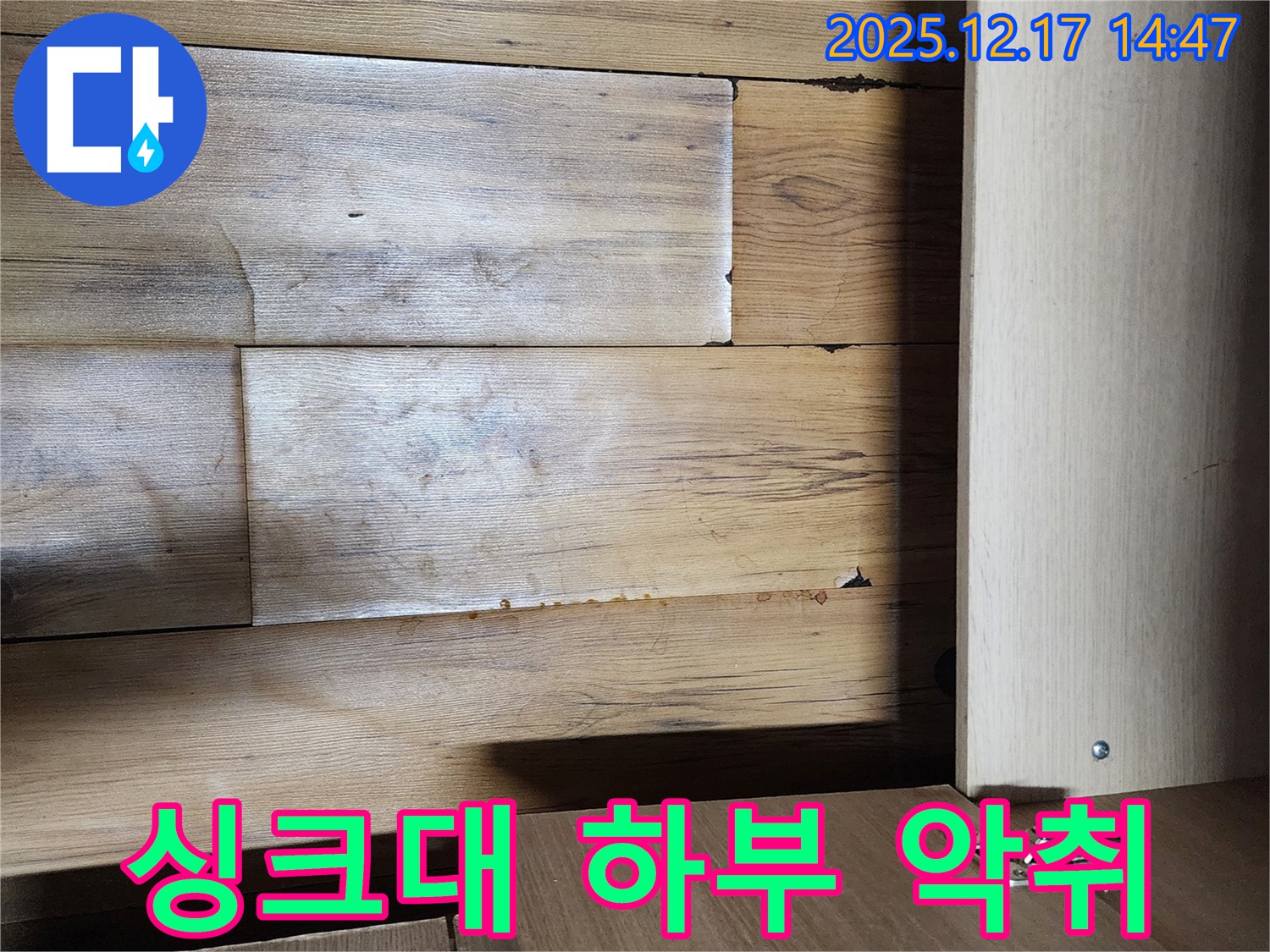 싱크대 하부 악취 - 누수와 곰팡이 의심