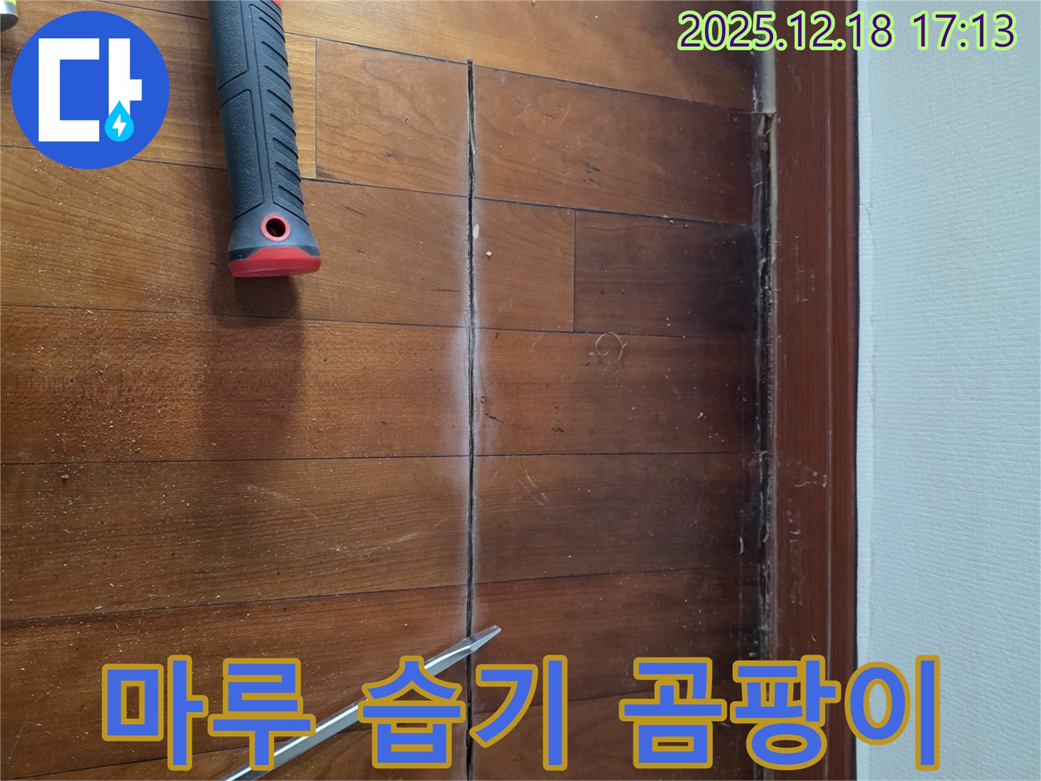 마루 속 습기 - 곰팡이 주의! 시흥 누수 전문