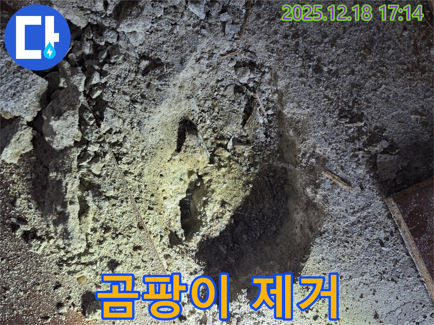 시흥 누수 - 곰팡이 핀 석고보드 제거 작업