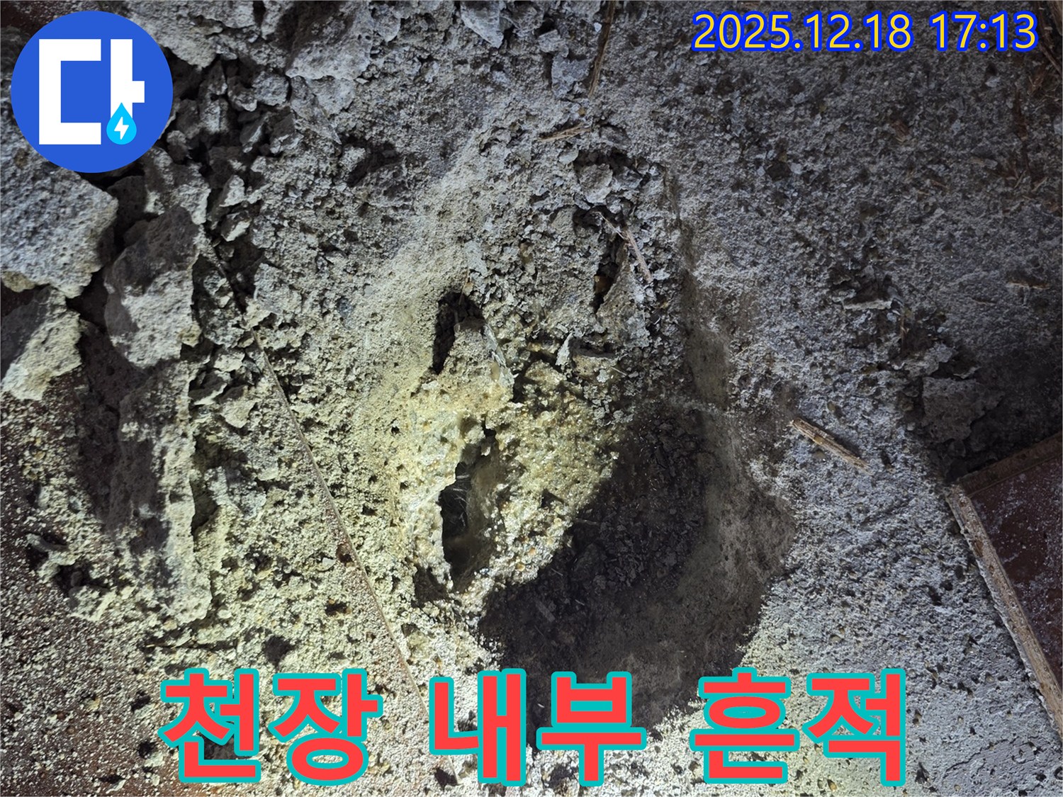 천장 내부 - 누수 흔적 발견