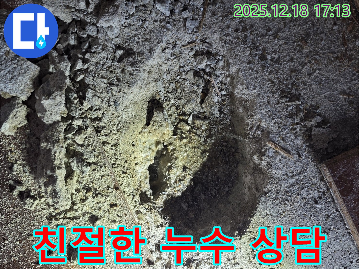 친절한 상담 - 언제든지 문의하세요