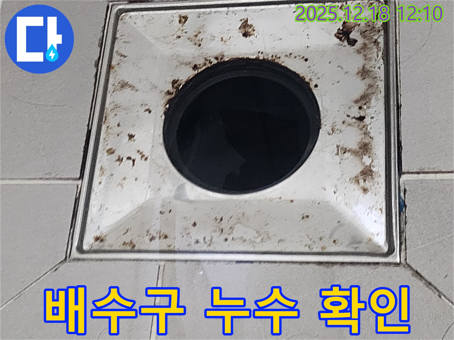 욕실 배수구 누수 확인 - 가채리 누수 현장