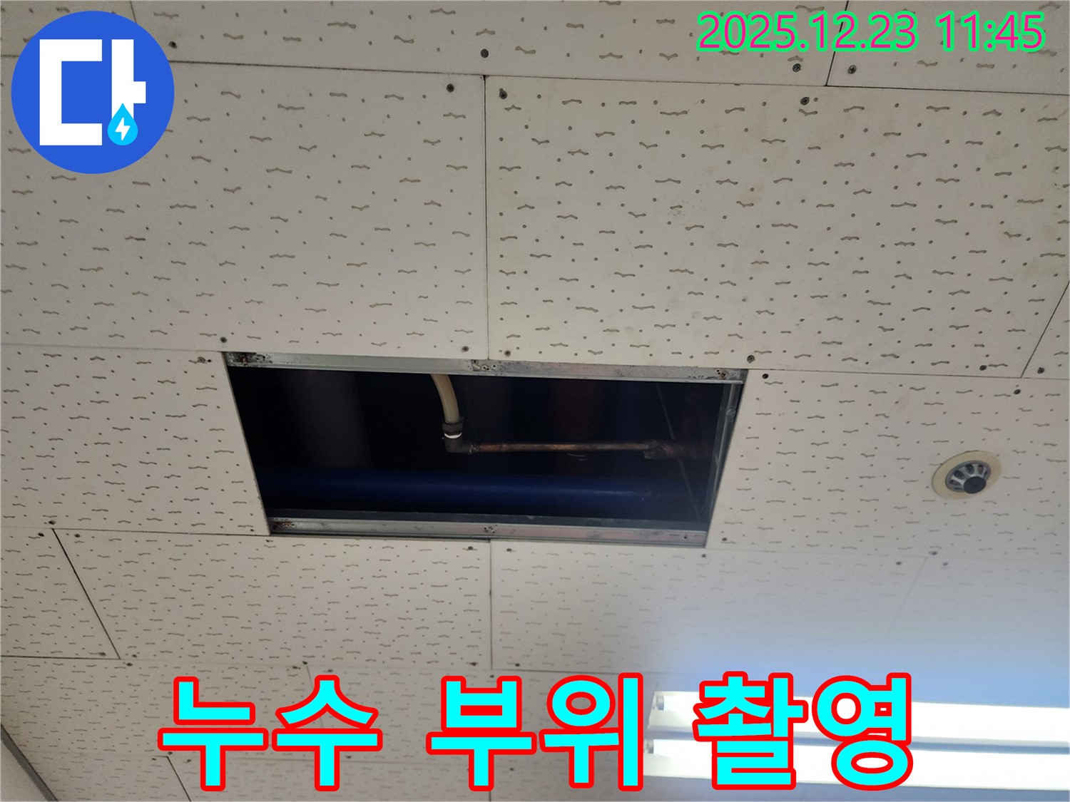 누수 부위 상세 촬영 - 고객님께 투명하게 공개