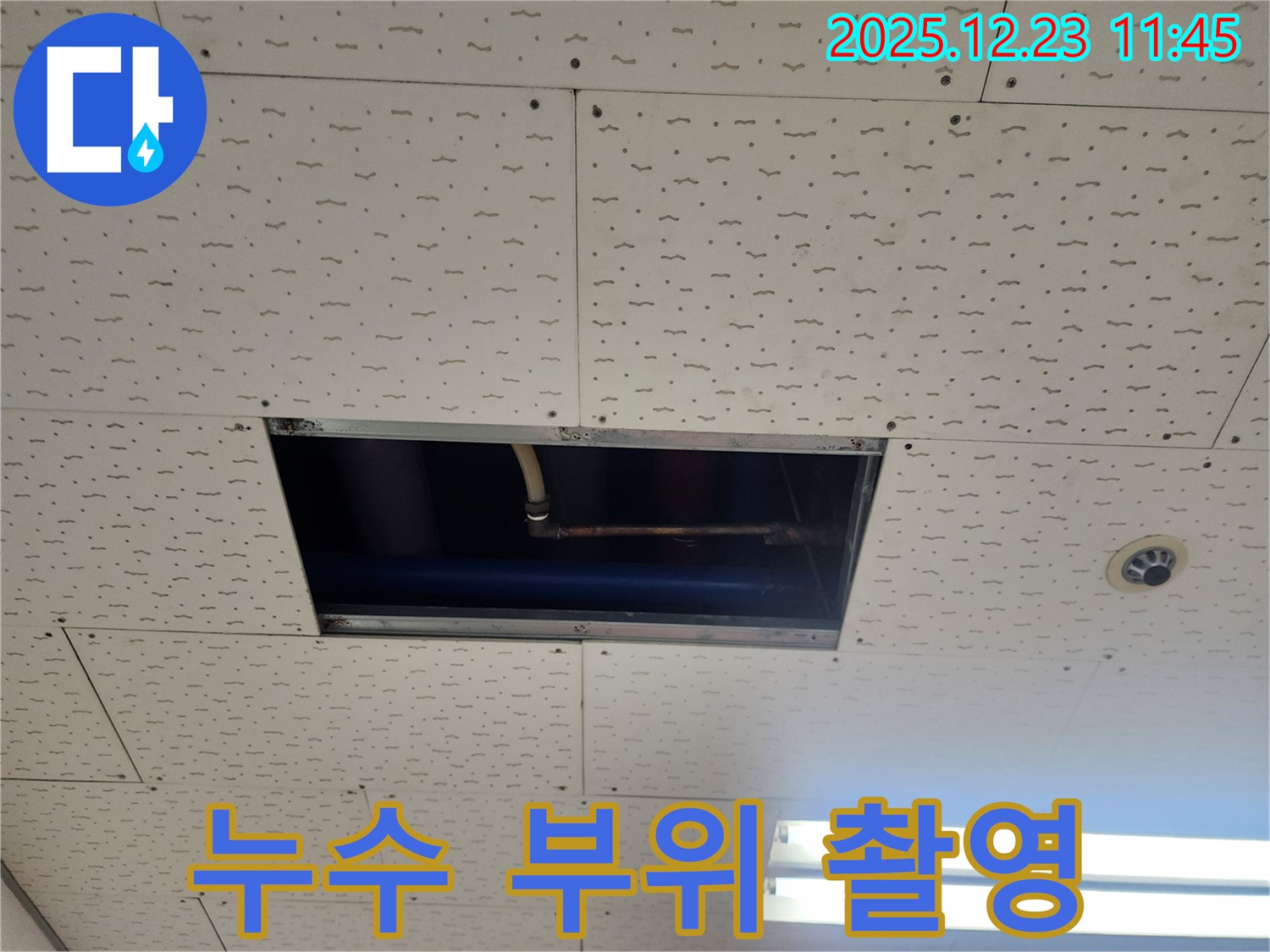 누수 부위 정밀 촬영 - 고객님께 상세한 설명 제공