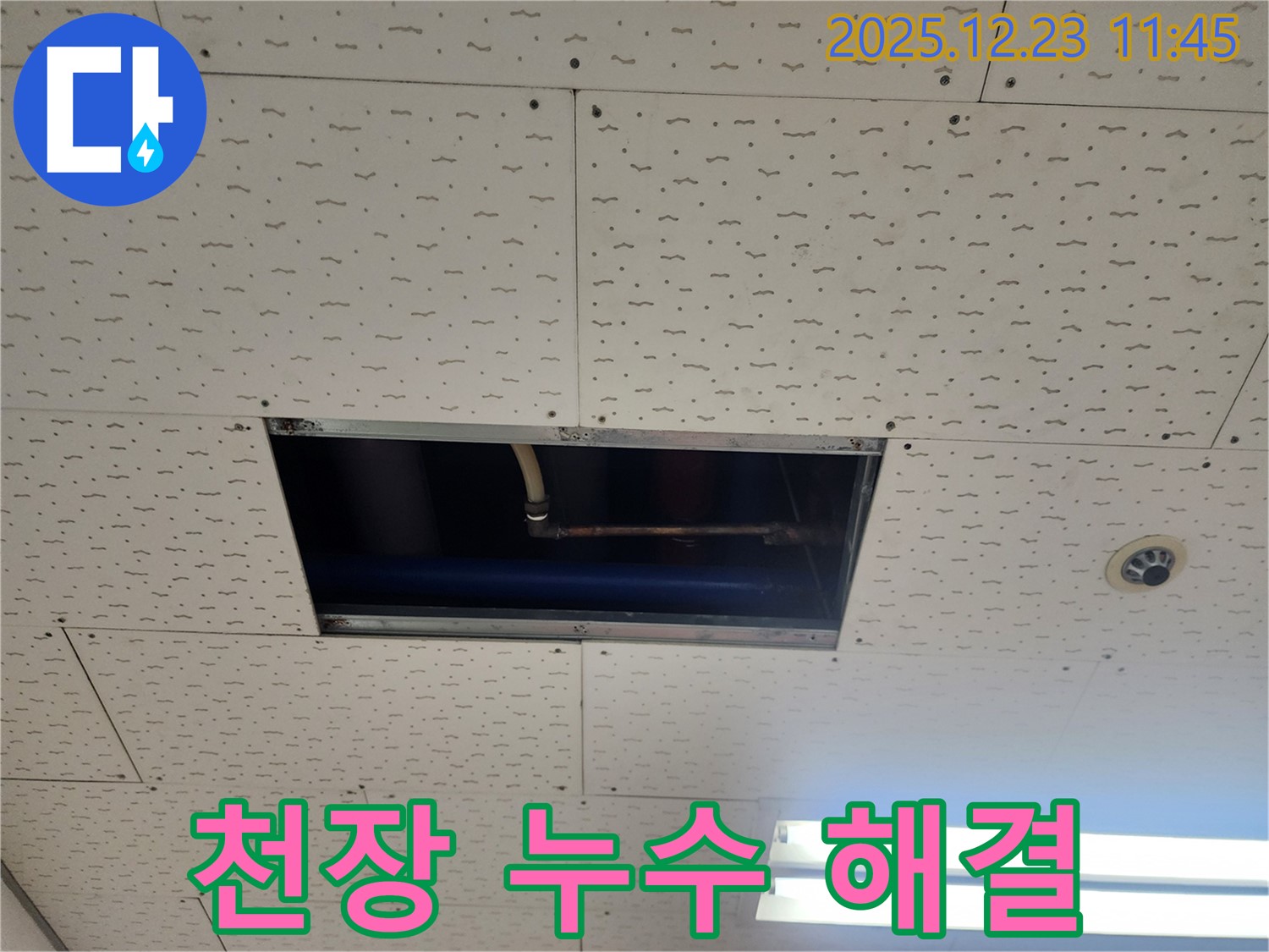 천장 누수 해결 완료 - 깨끗하게 복구된 천장