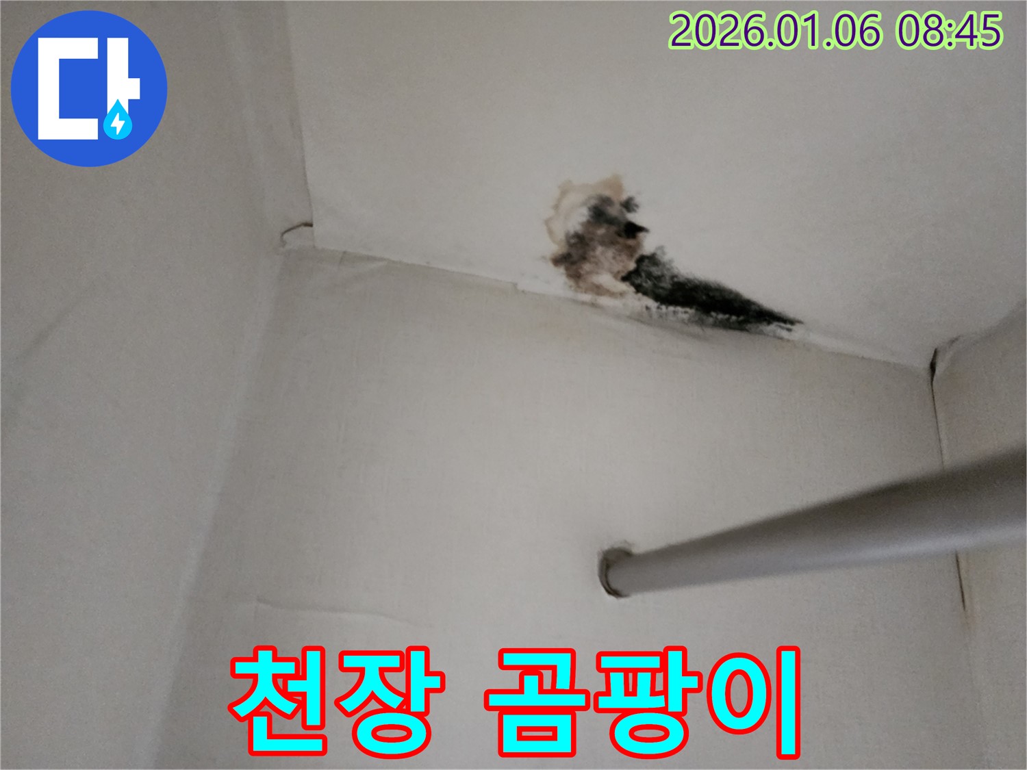 양주시 옷장 천장 누수 - 곰팡이로 뒤덮인 천장