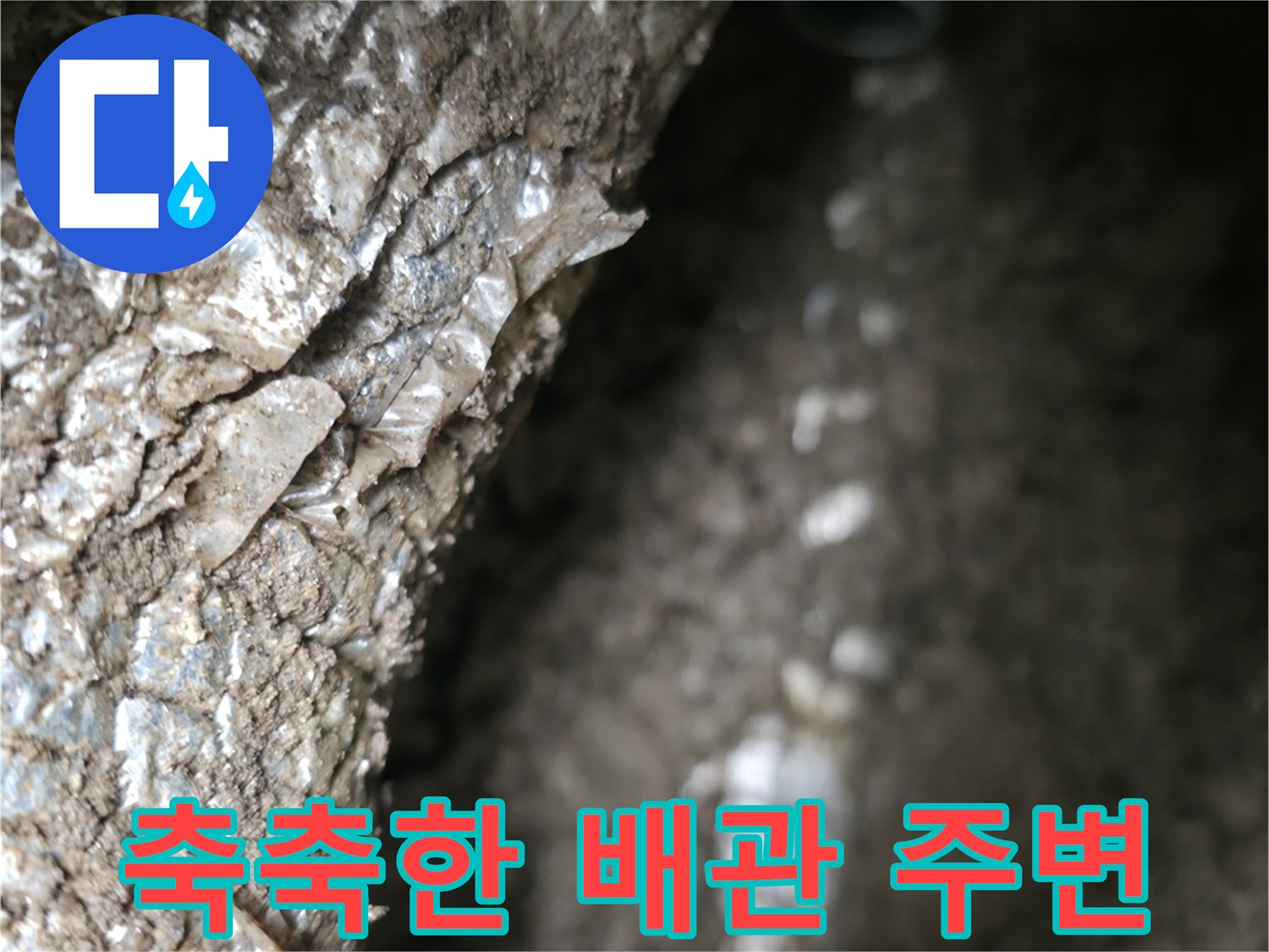 습기가-머금어진-배관과-젖은-흙의-모습