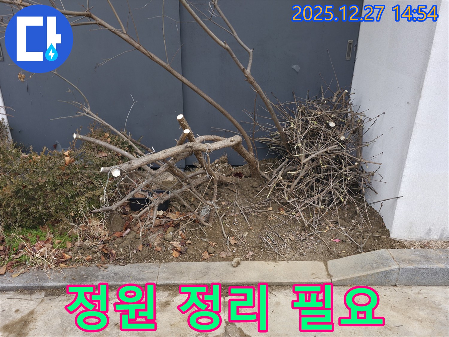 정원 정리 필요 - 어수선함