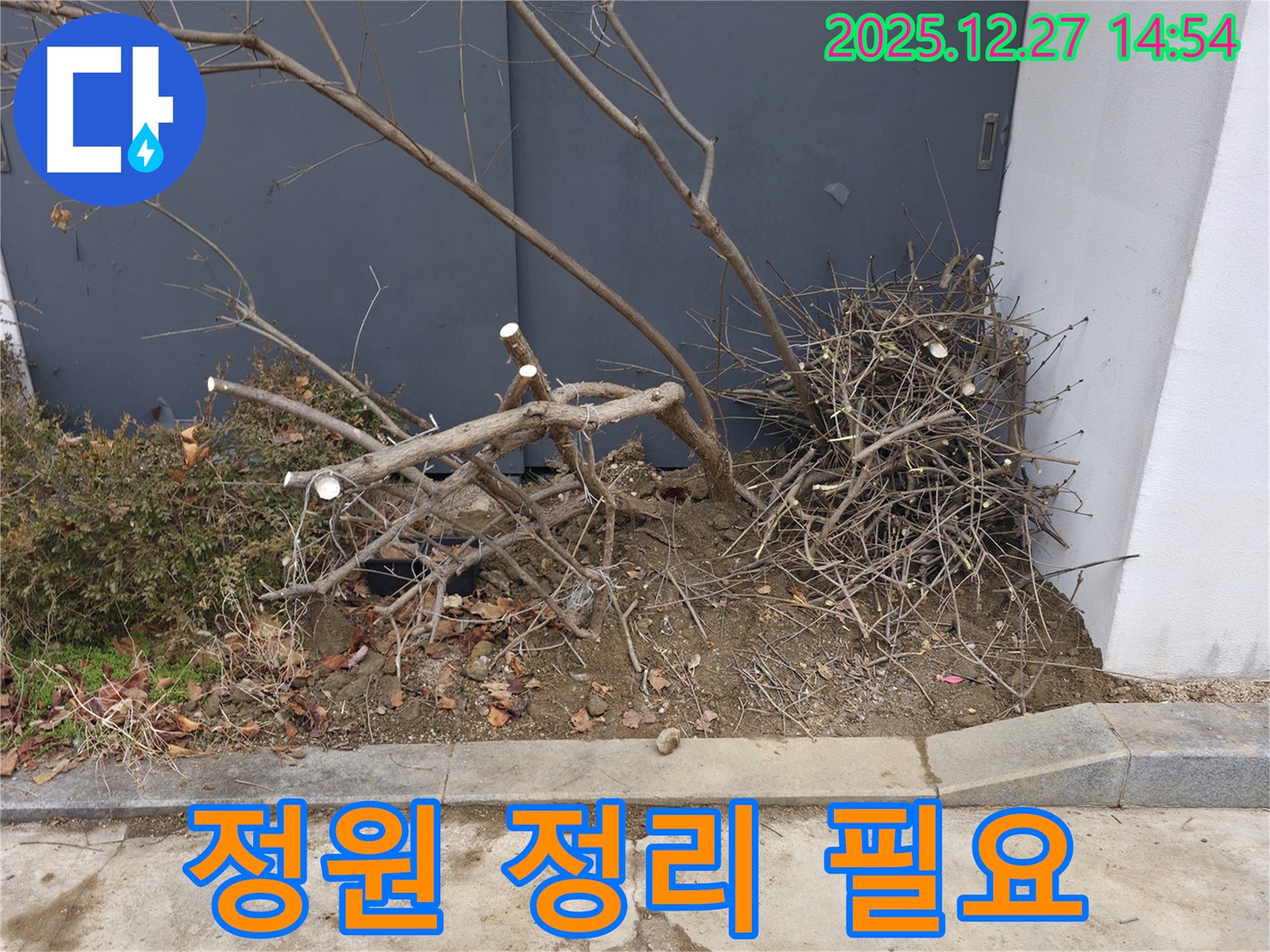 정원 정리 필요 - 어수선함