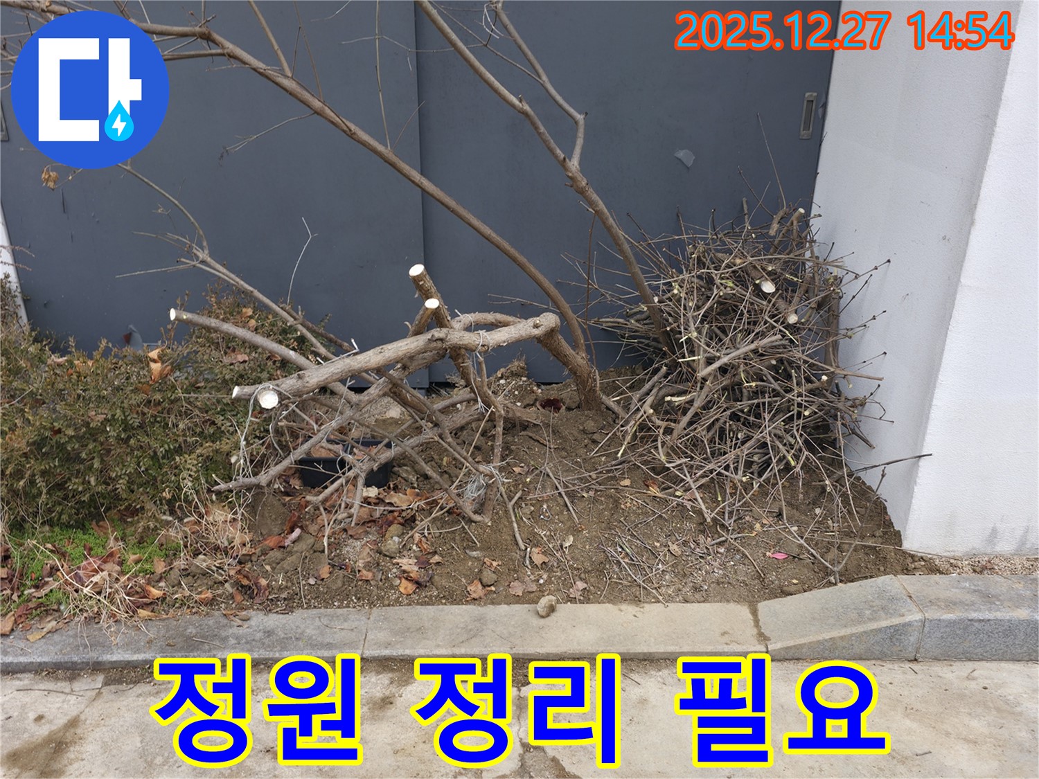 정원 정리 필요 - 엉망진창