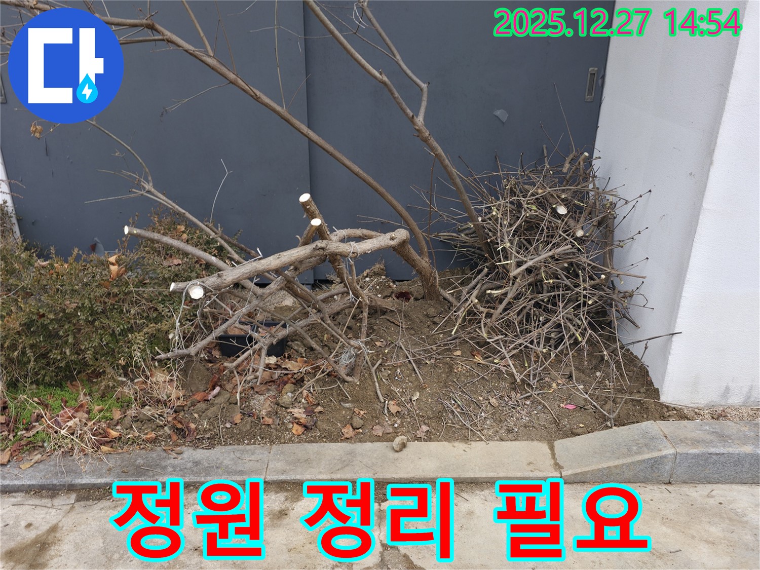 정원 정리 필요 - 지저분함