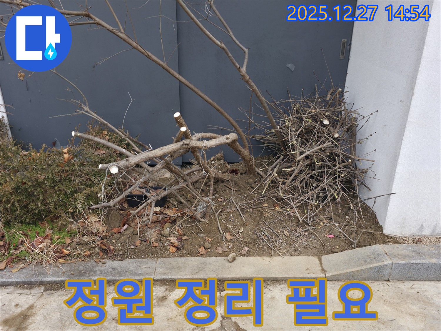정원 정리 필요 - 지저분함