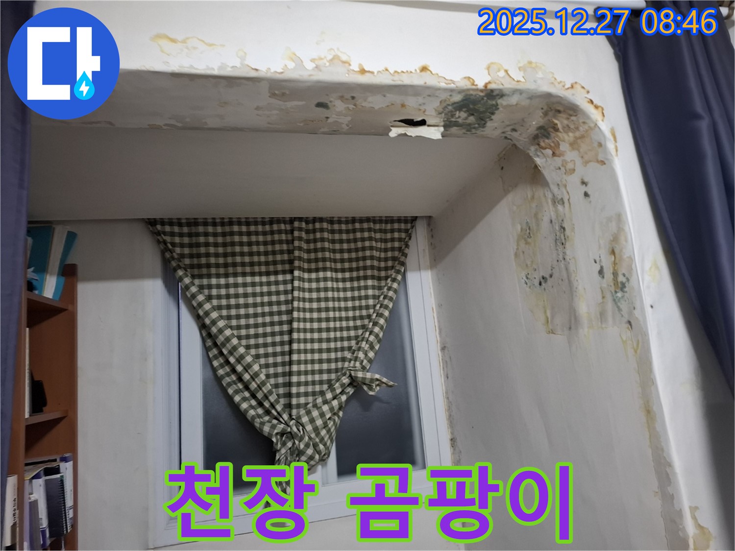 석촌동 천장 곰팡이 - 누수로 인한 천장 손상