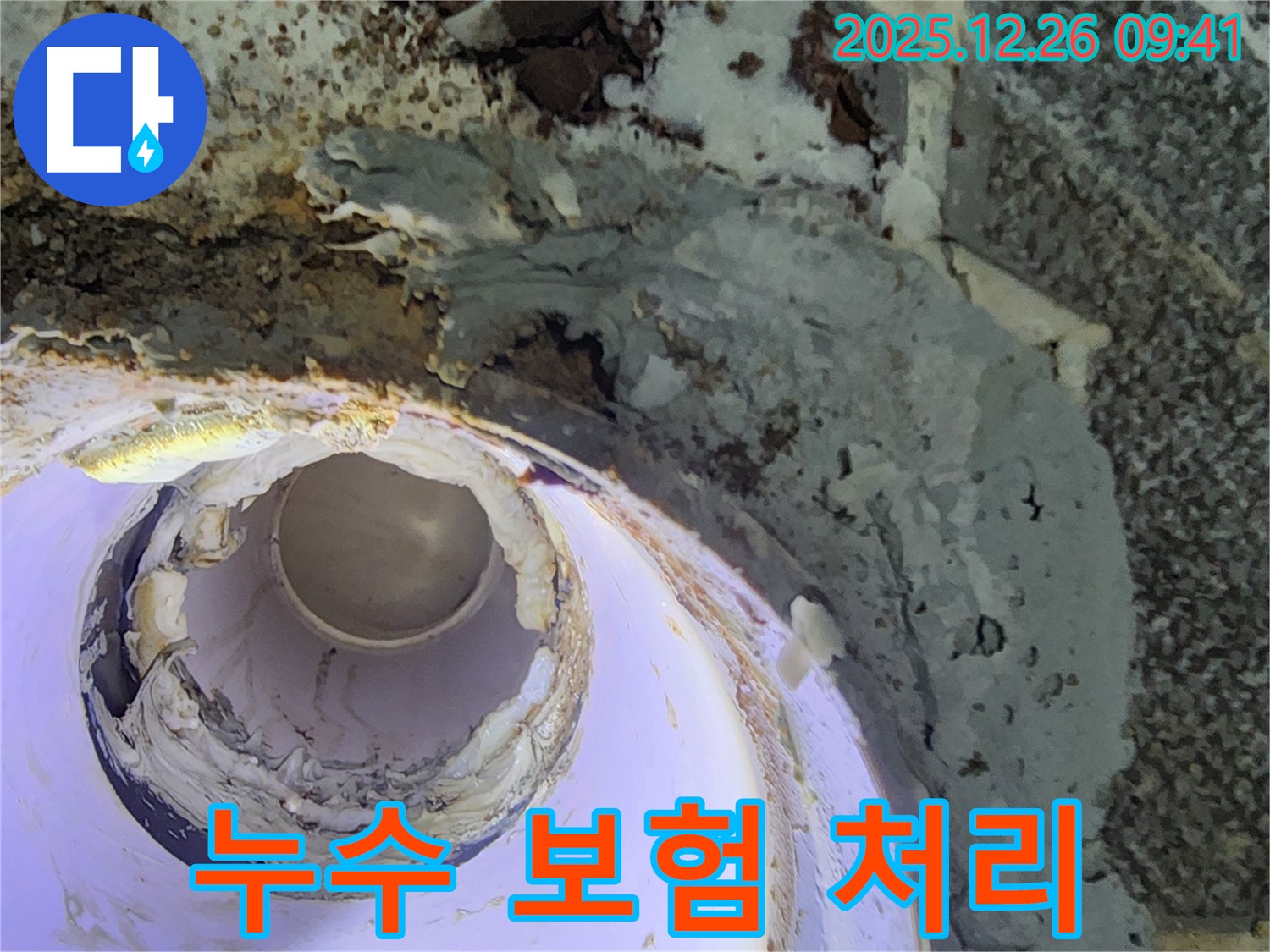 누수 보험 처리 - 복잡한 절차 대행