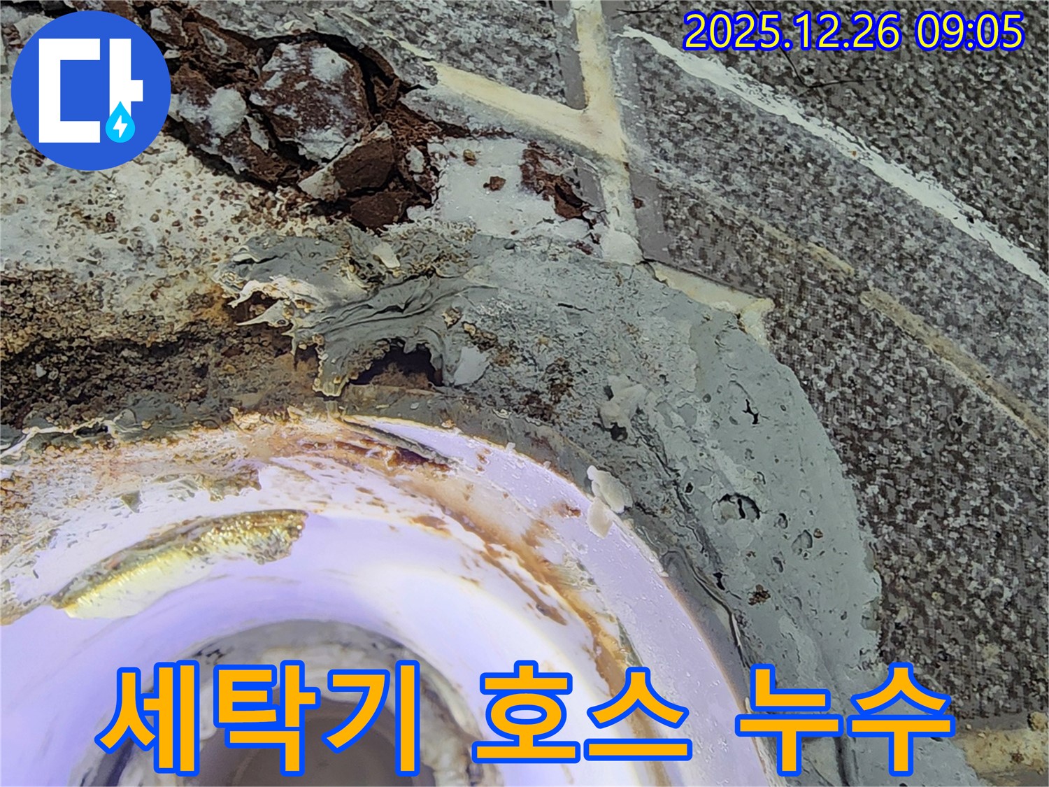 세탁기 호스 - 세탁기 배수 호스에서 누수가 발생한 모습