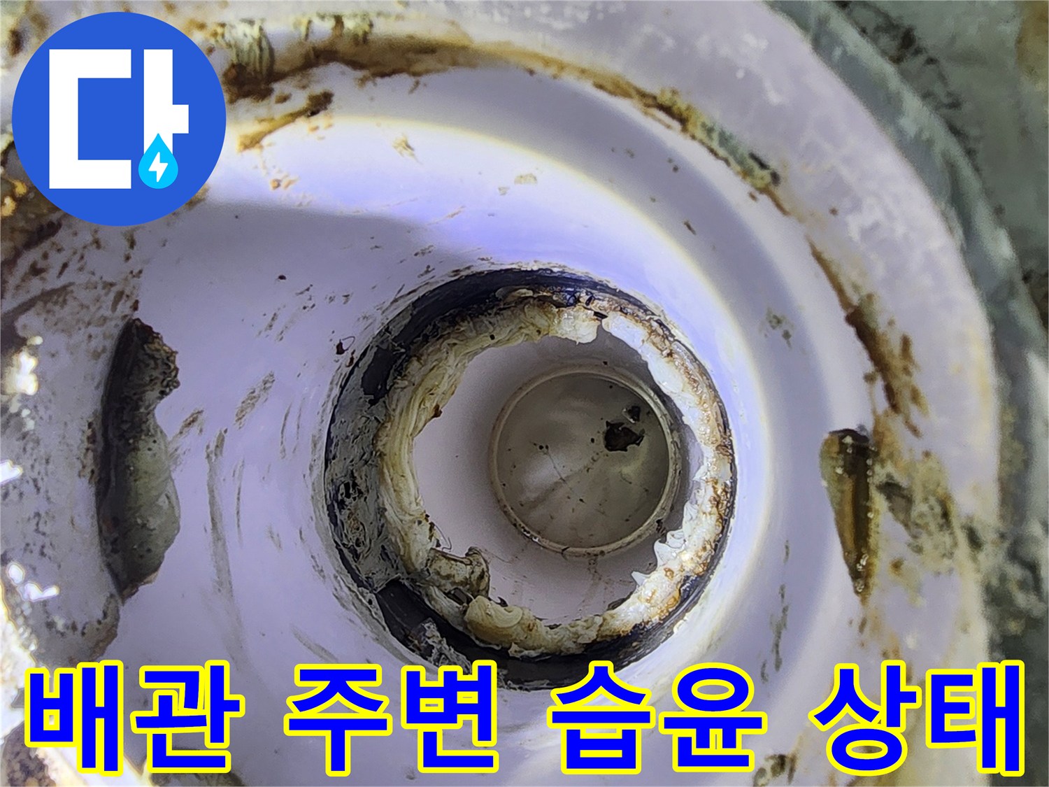 하수구 하부 배관 주위의 젖은 흔적 사진