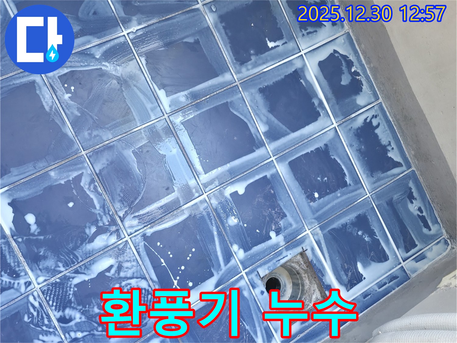 성동구 성수동 욕실 누수 - 환풍기 주변 누수 점검