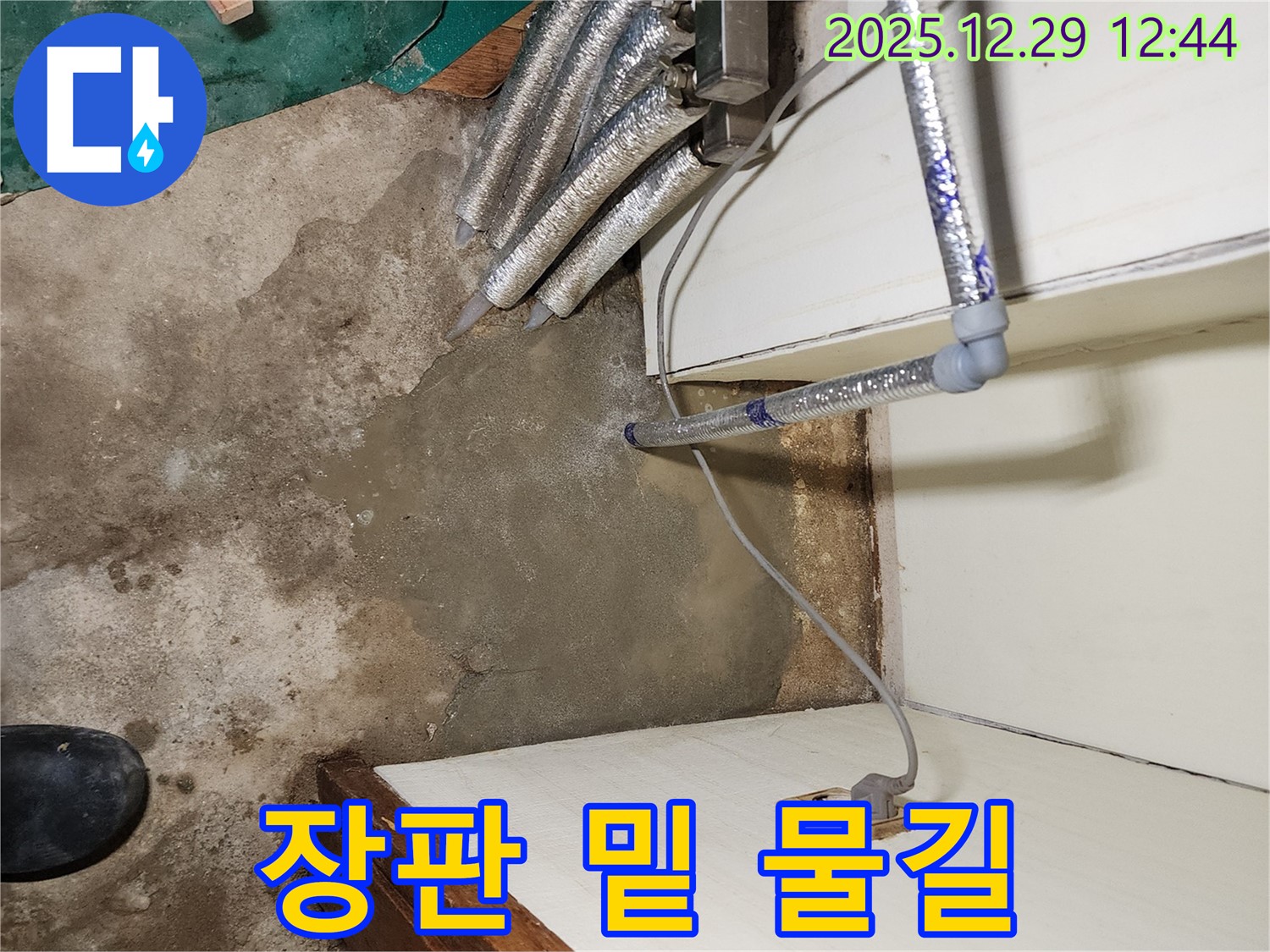 상계2동 누수 - 장판 밑에 숨겨진 물길