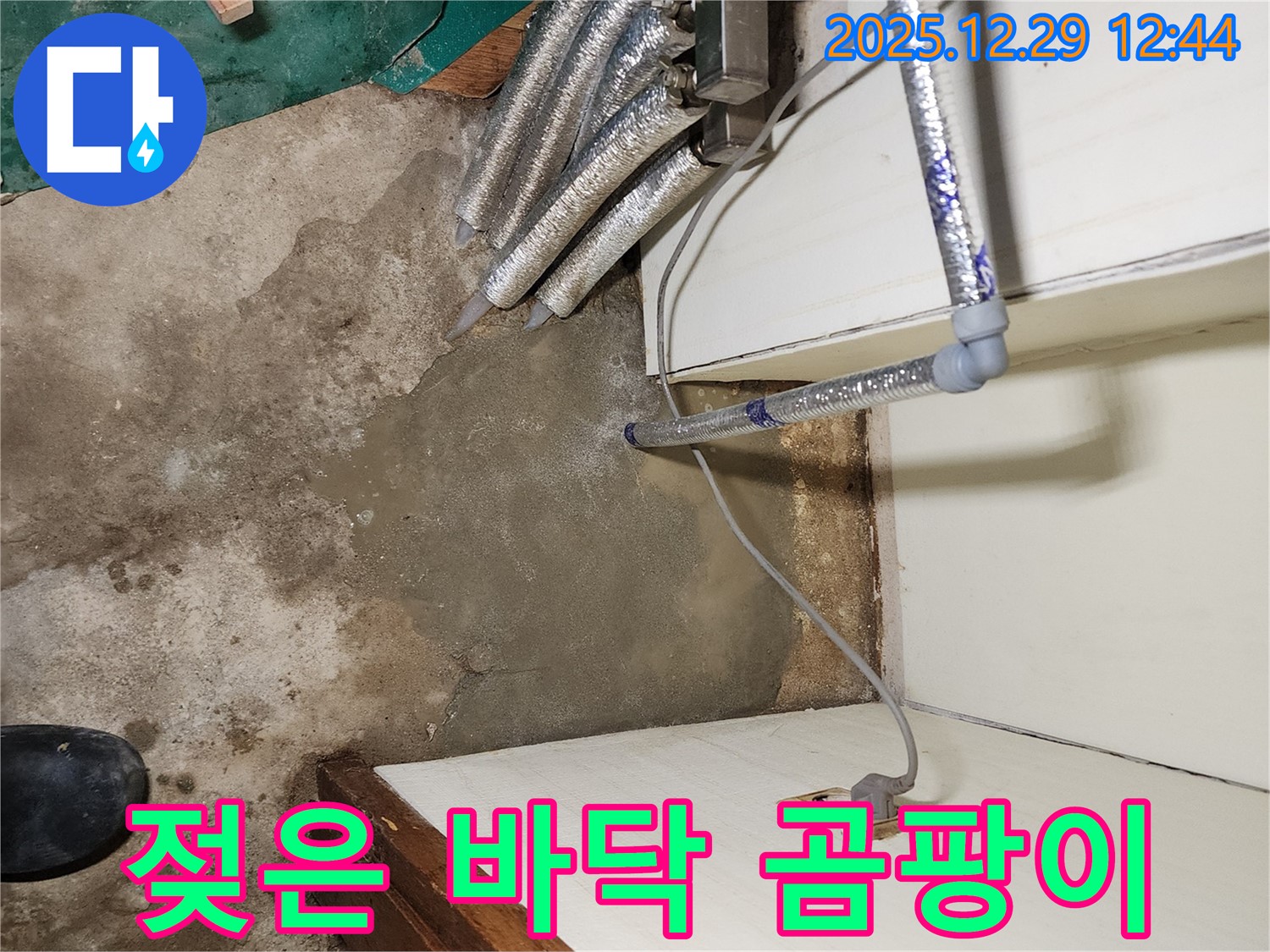 상계2동 누수 - 젖은 바닥과 곰팡이 위험