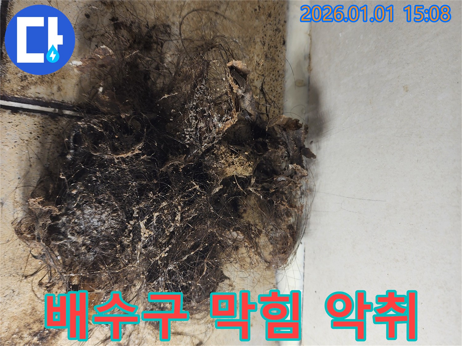 배수구 막힘 악취 - 막힌 배수구에서 발생하는 악취와 오염 물질