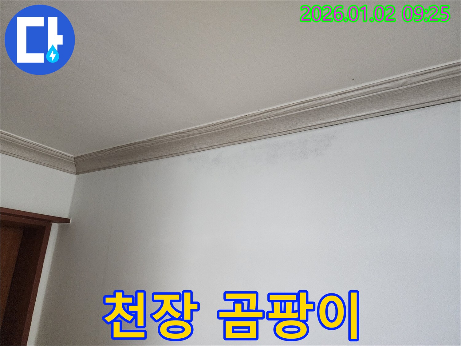 상계9동 천장 누수 - 곰팡이 발생으로 건강 위협