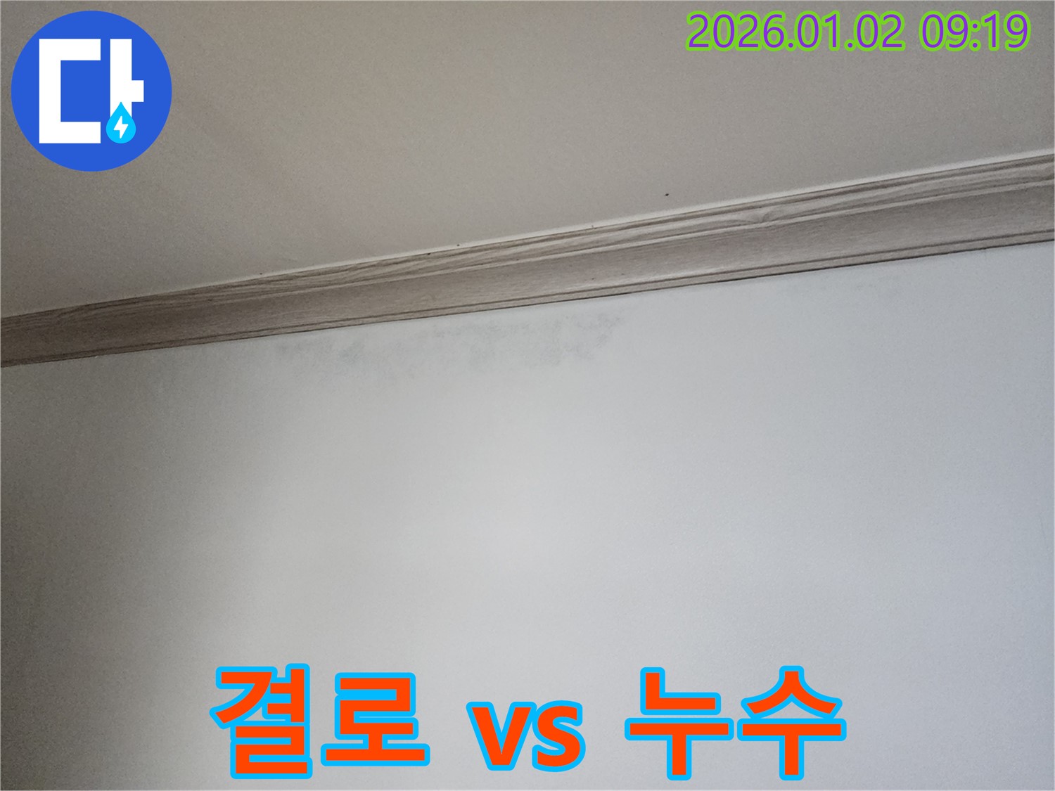 상계동 결로와 누수 - 천장 습기 및 곰팡이 발생