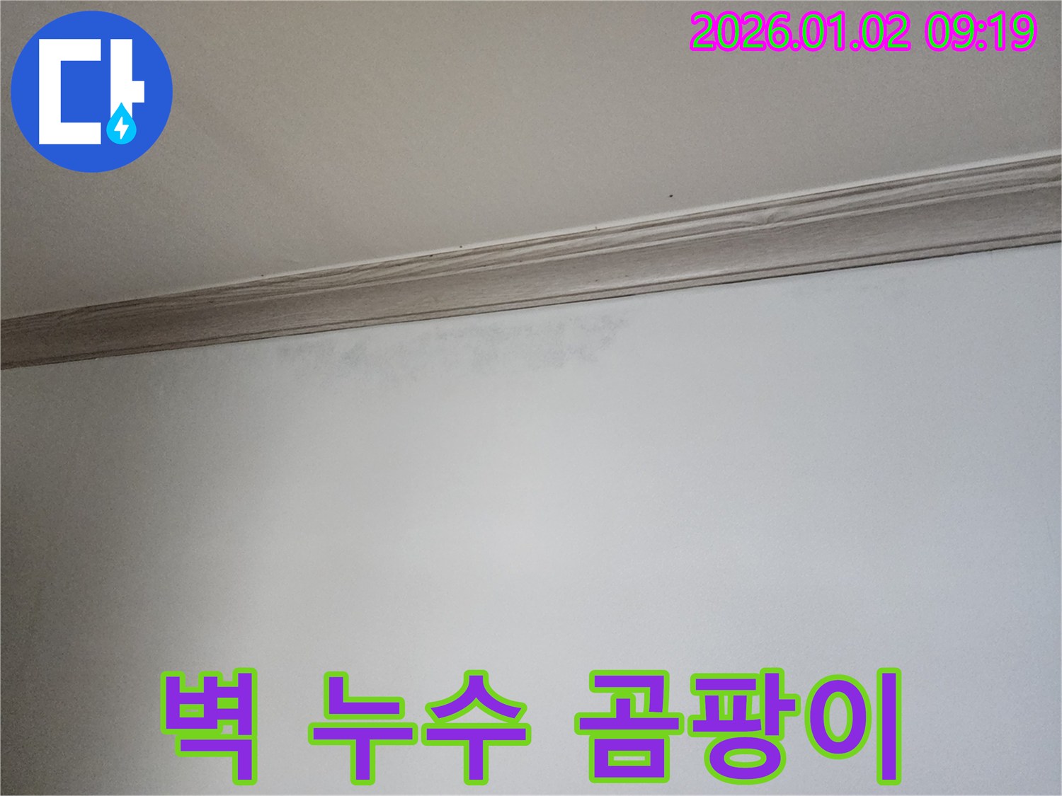 상계동 벽 누수 - 초기 곰팡이 발생 징후